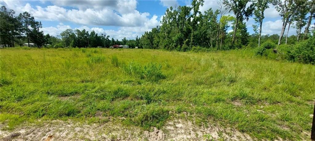 0 Guillott Road Dequincy, LA 70633 - Photo 3 of 3 Gallery Image 3