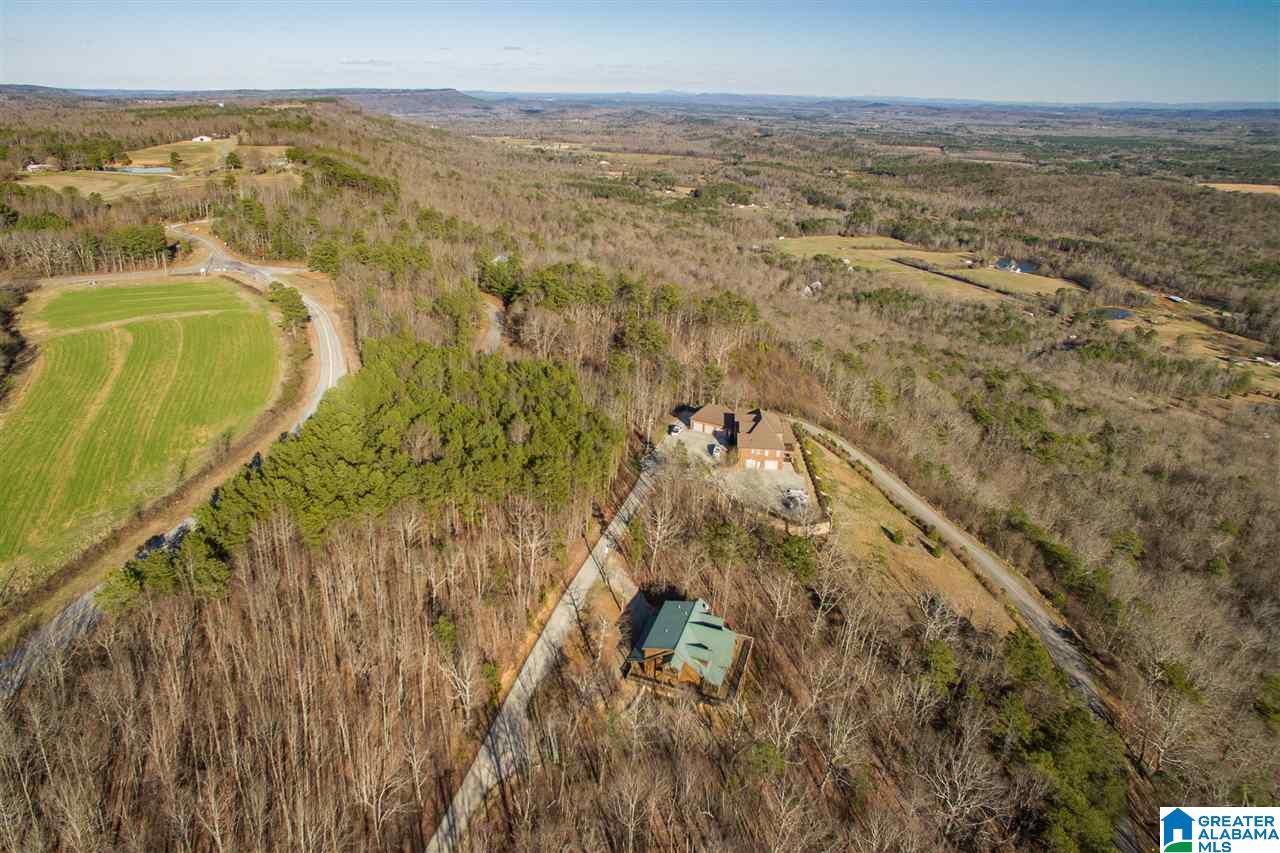 114 Scenic Peak Road Springville, AL 35146 - Photo 45 of 48
