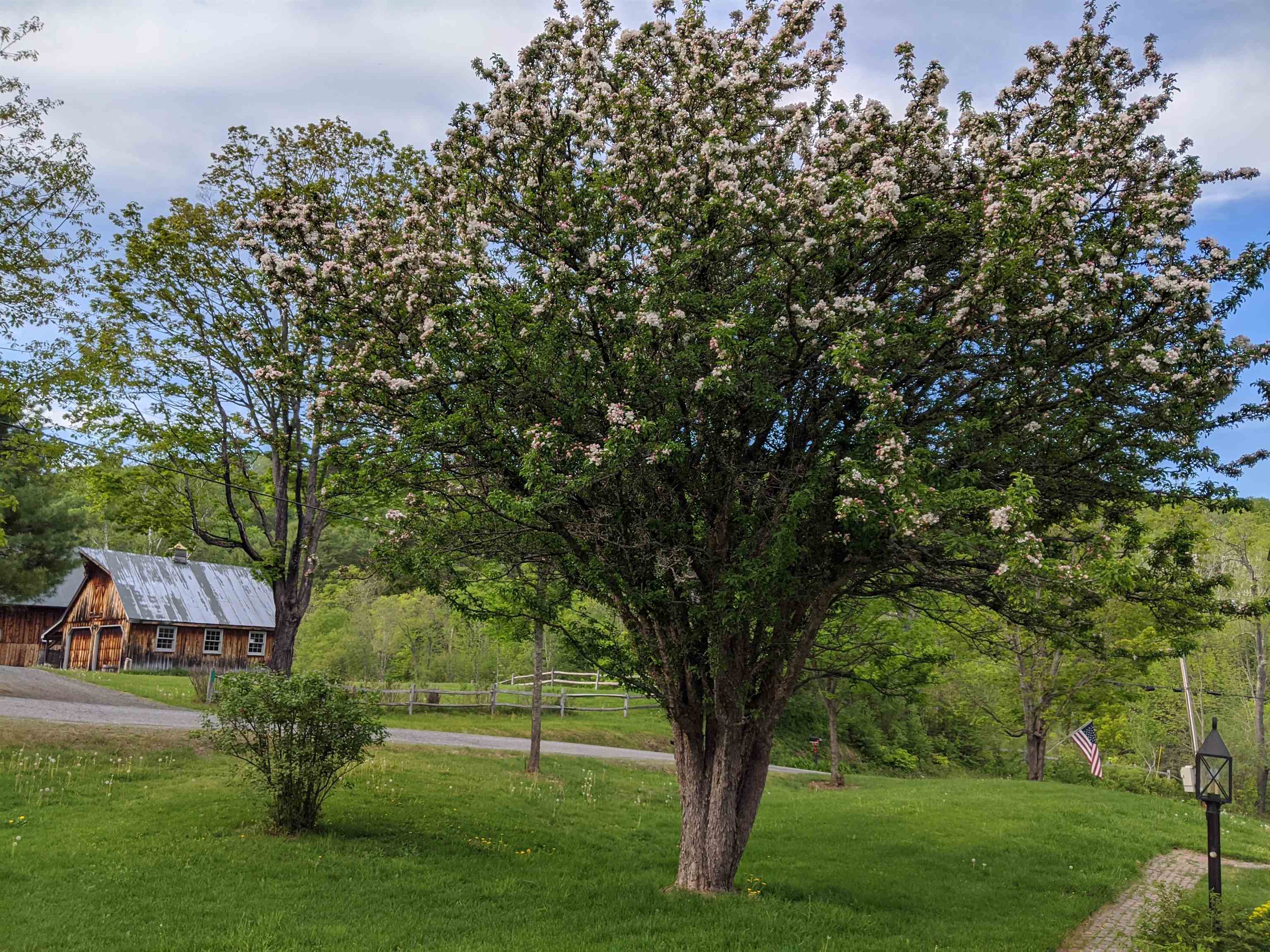 85 Brook Road Strafford, VT 05072 - Photo 36 of 37