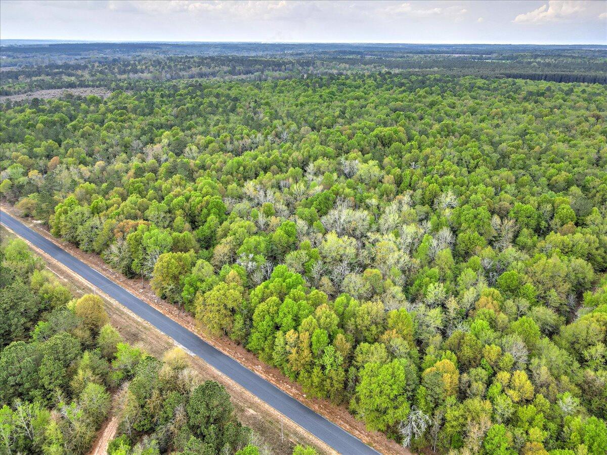 0 Millers Pond Road, Unit LOT 5 Salley, SC 29137 - Photo 5 of 13