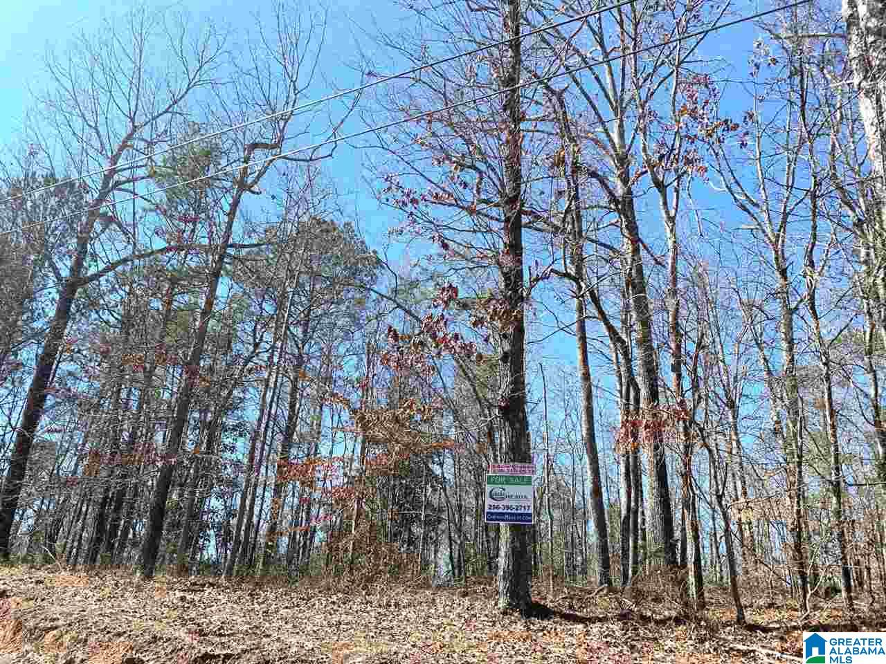 Hillcrest Street, Unit 1 Heflin, AL 36264 - Photo 5 of 7