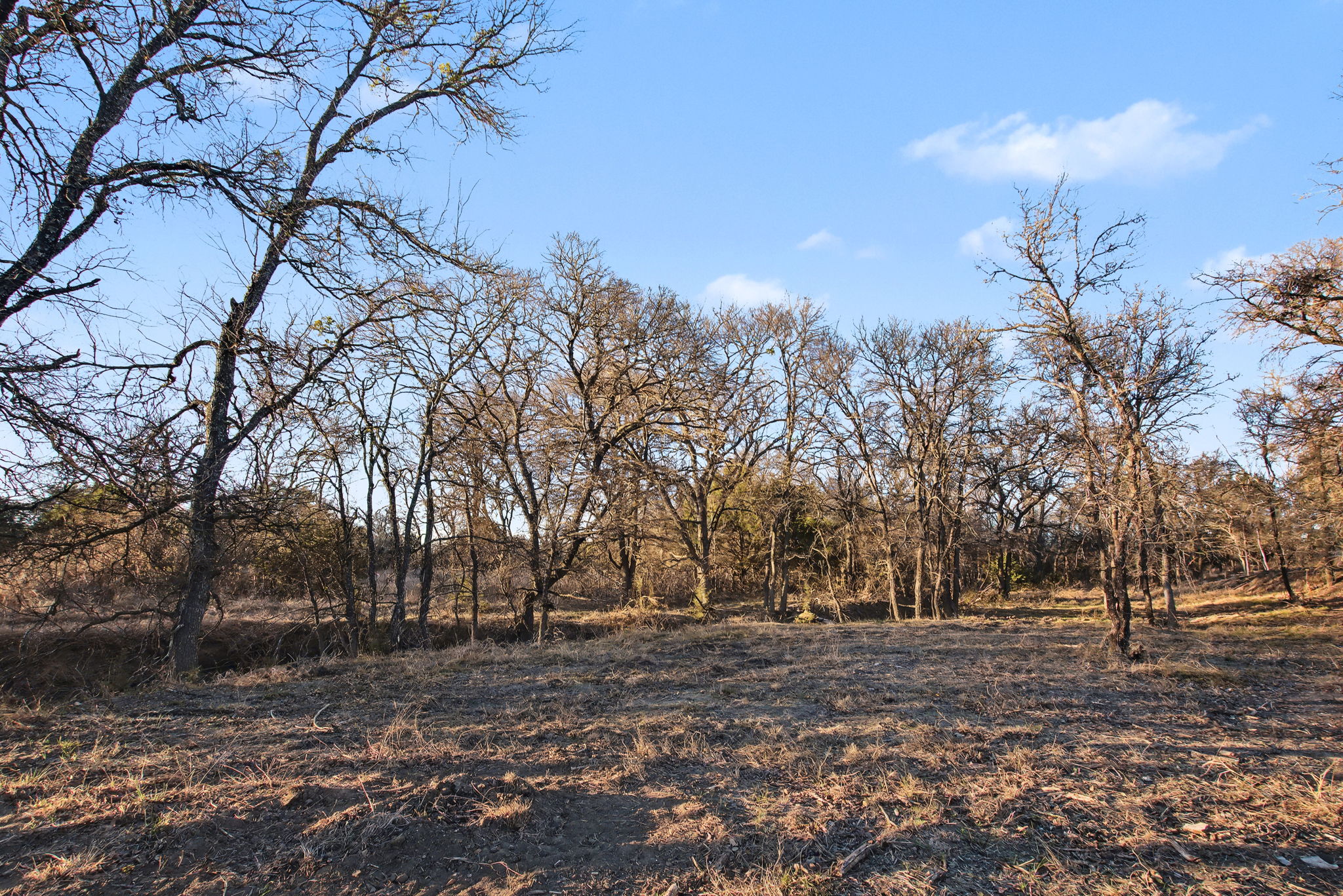 13510 County Road 3642 Kempner, TX 76539 - Photo 21 of 38