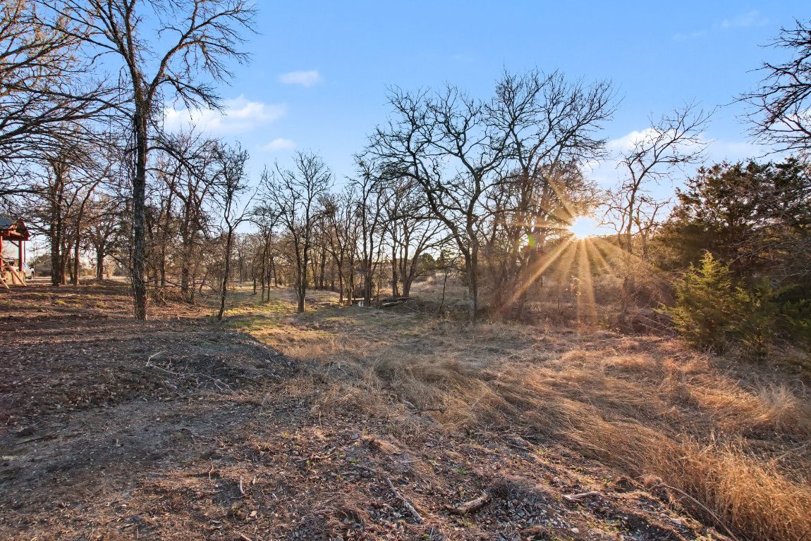 13510 County Road 3642 Kempner, TX 76539 - Photo 23 of 38 a view of outdoor space with trees