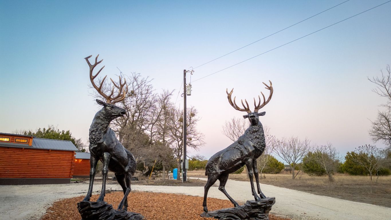 13510 County Road 3642 Kempner, TX 76539 - Photo 5 of 38 a view of a basketball court