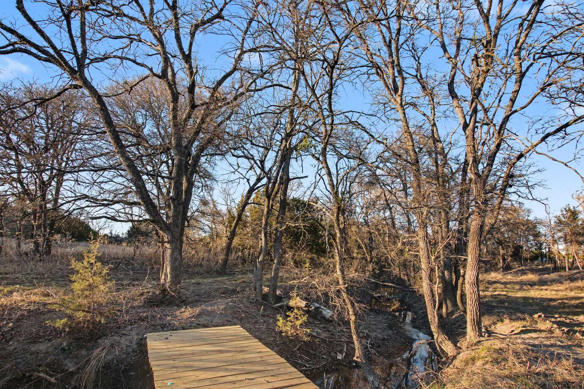 13510 County Road 3642 Kempner, TX 76539 - Photo 9 of 38 Wooden deck featuring view of scattered trees