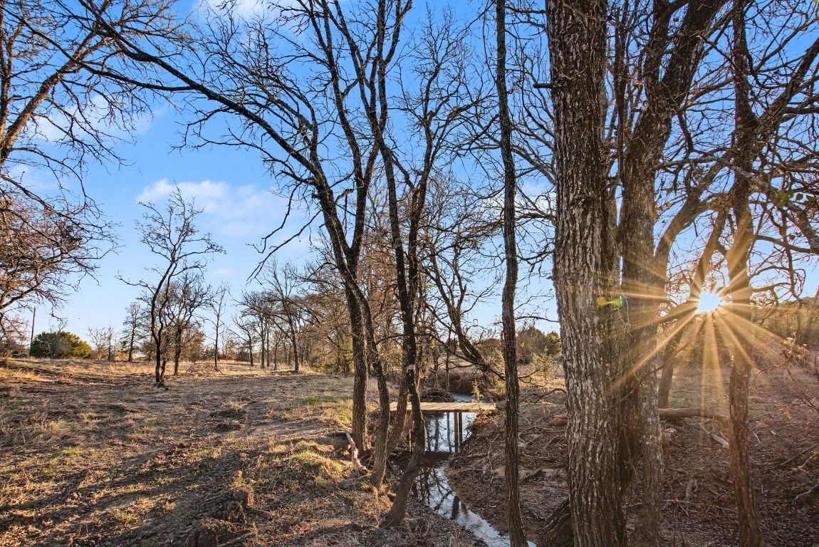 13510 County Road 3642 Kempner, TX 76539 - Photo 10 of 38 a view of outdoor space with lots of trees