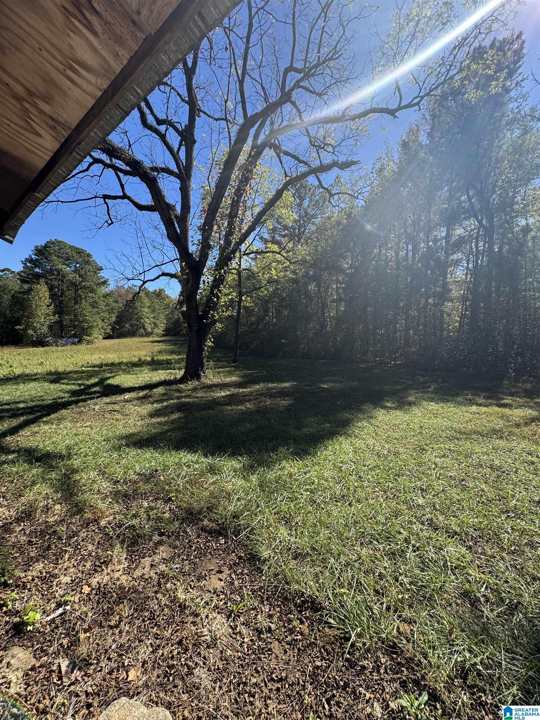 2075 Turkey Pen Road, Unit 1 Cragford, AL 36255 - Photo 5 of 6