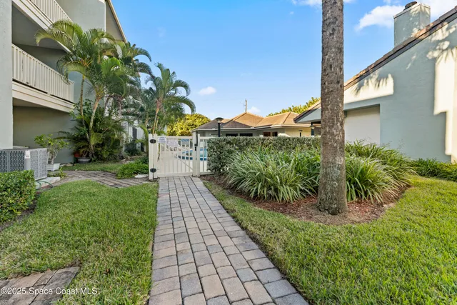 a view of a back yard