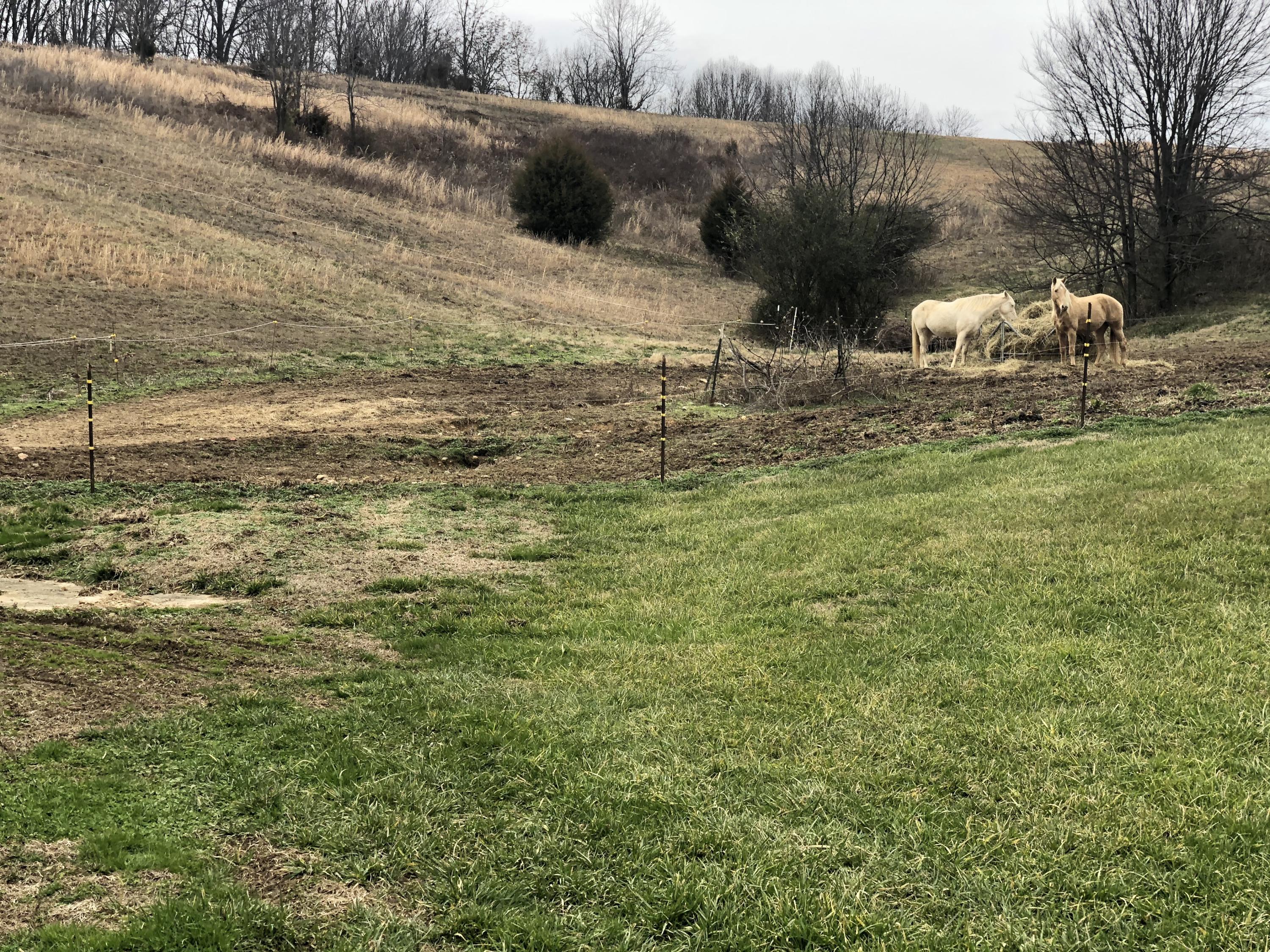755 Robertson Road Chuckey, TN 37641 - Photo 23 of 36 jN9oIiS5T6iWOaJx181NzQ