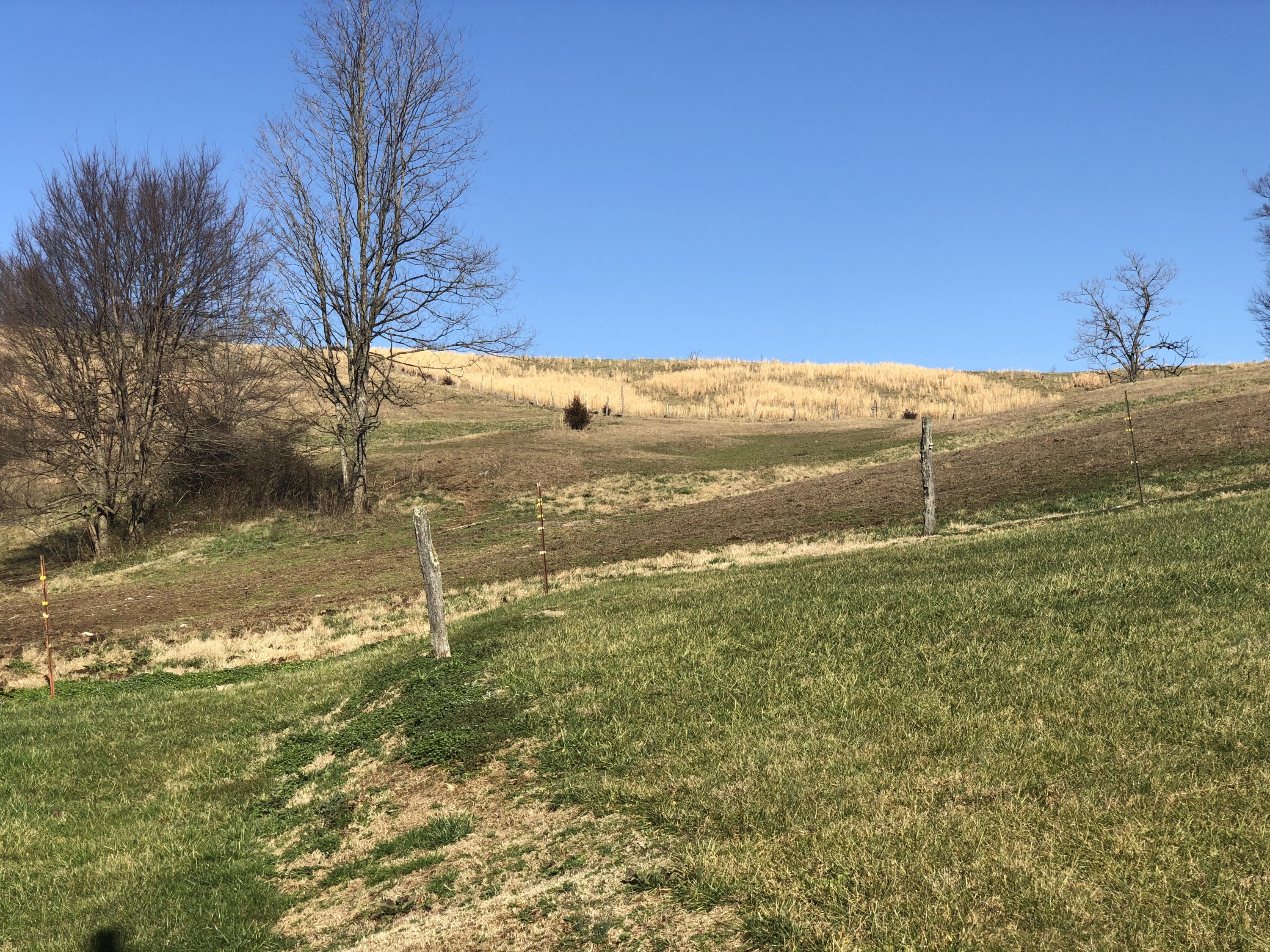 755 Robertson Road Chuckey, TN 37641 - Photo 35 of 36 oqb9tva2QJeB9zPiDC1Mxw