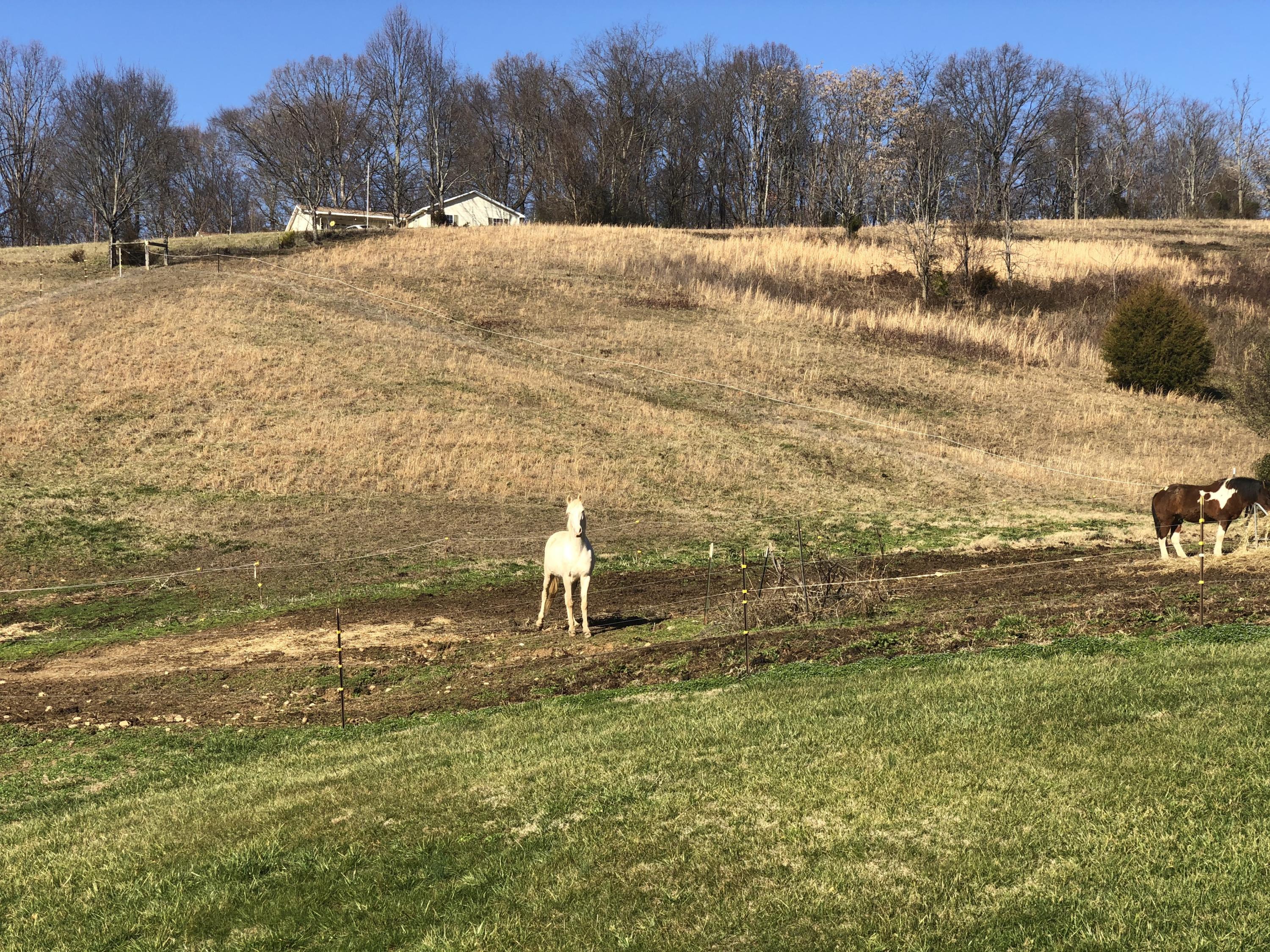 755 Robertson Road Chuckey, TN 37641 - Photo 36 of 36 93QglwAxRkS3DGjtS+f20Q