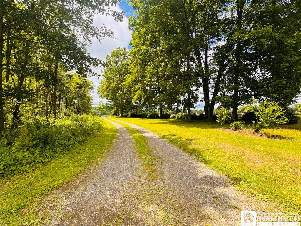 190 Old Fentonville Road Carroll, NY 14738 - Photo 35 of 41