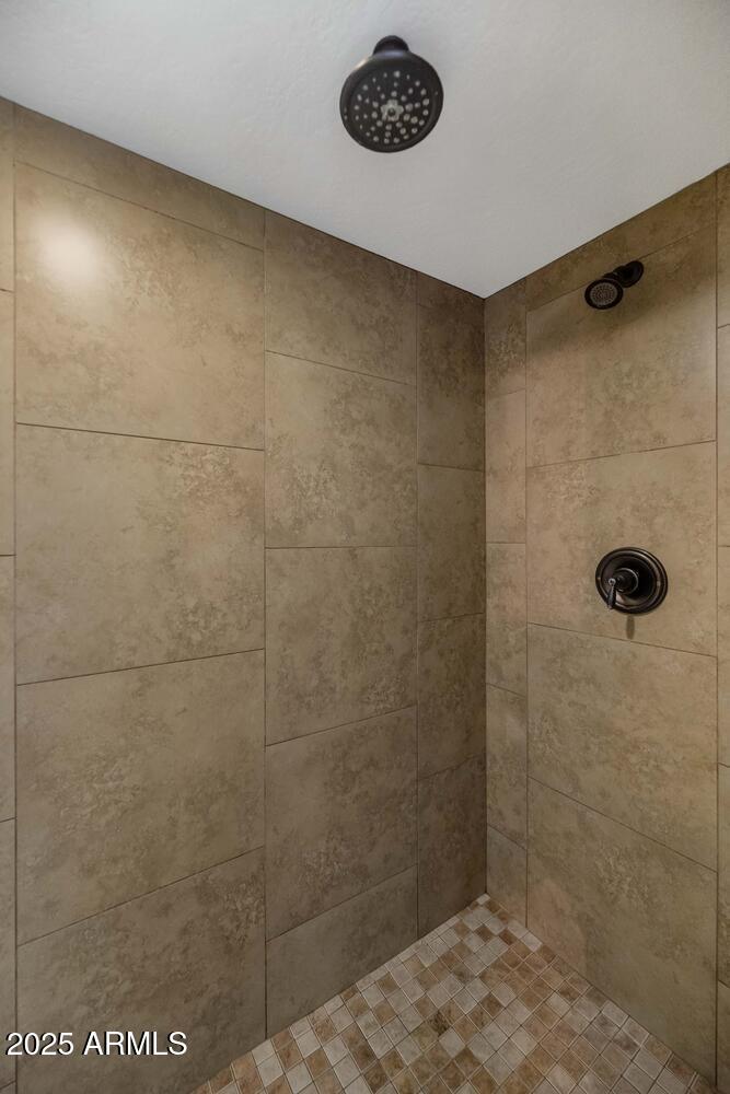 846 East Ocotillo Road Phoenix, AZ 85014 - Photo 24 of 44 Primary Shower, Dual Showerheads
