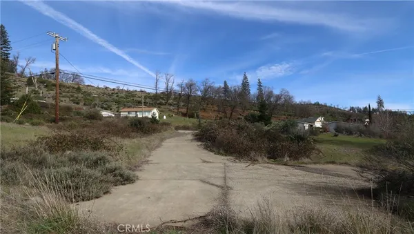 a view of a town with big tree