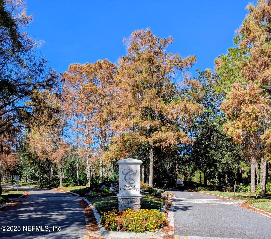 5300 Rising Sun Court St. Johns, FL 32259 - Photo 28 of 43 a view of a garden