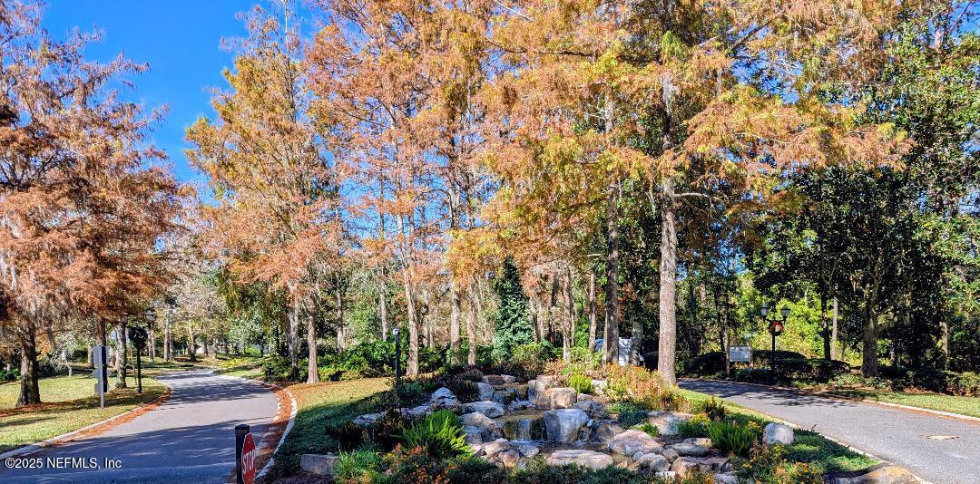 5300 Rising Sun Court St. Johns, FL 32259 - Photo 29 of 43 a view of yard with tree