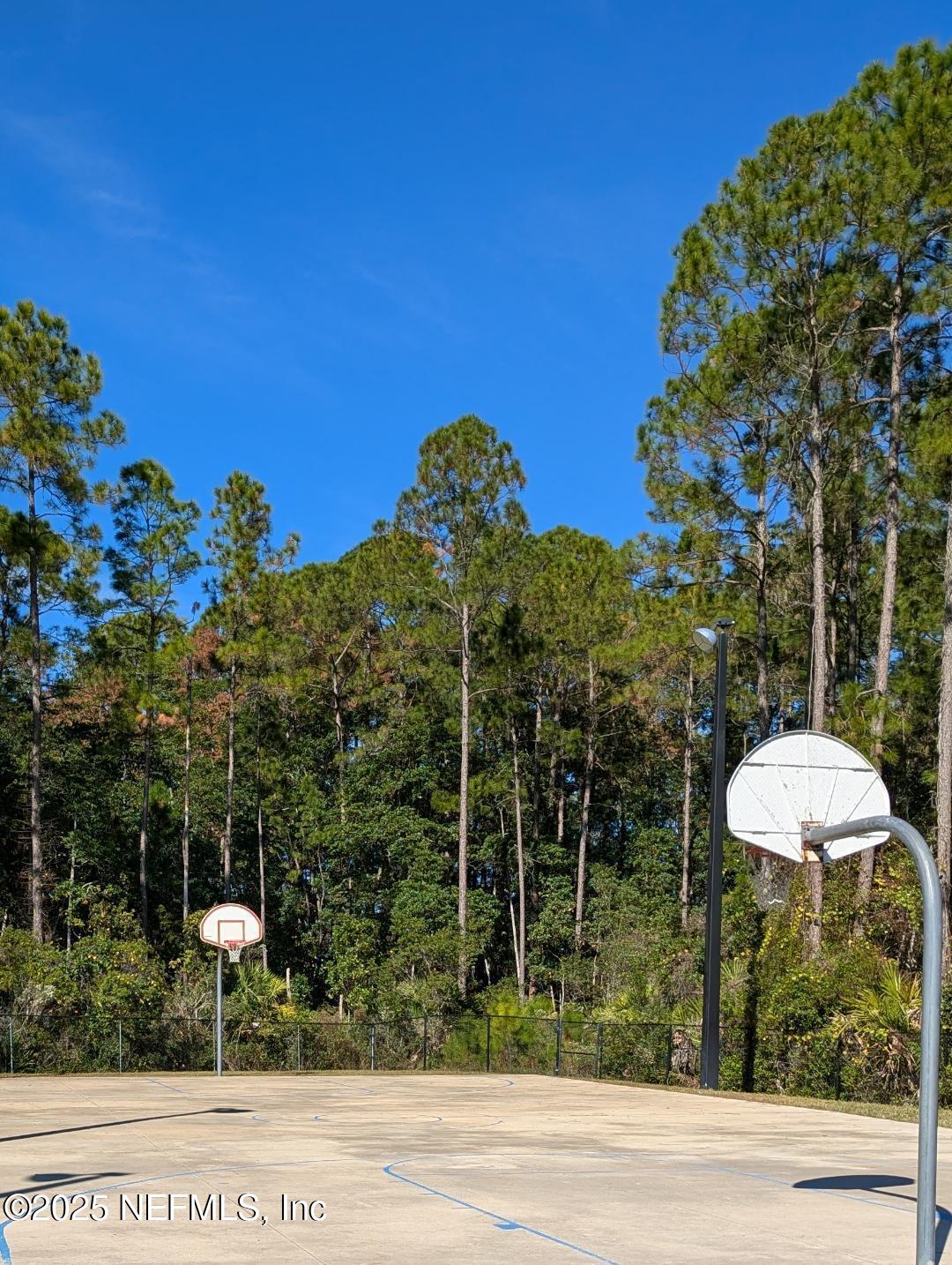 5300 Rising Sun Court St. Johns, FL 32259 - Photo 40 of 43 a view of a garden