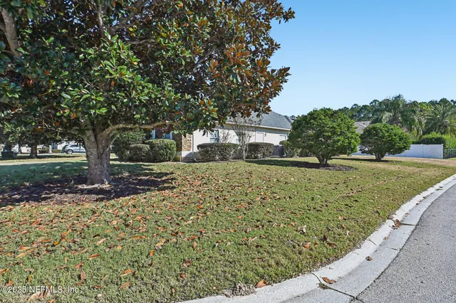 a view of yard with tree in the background