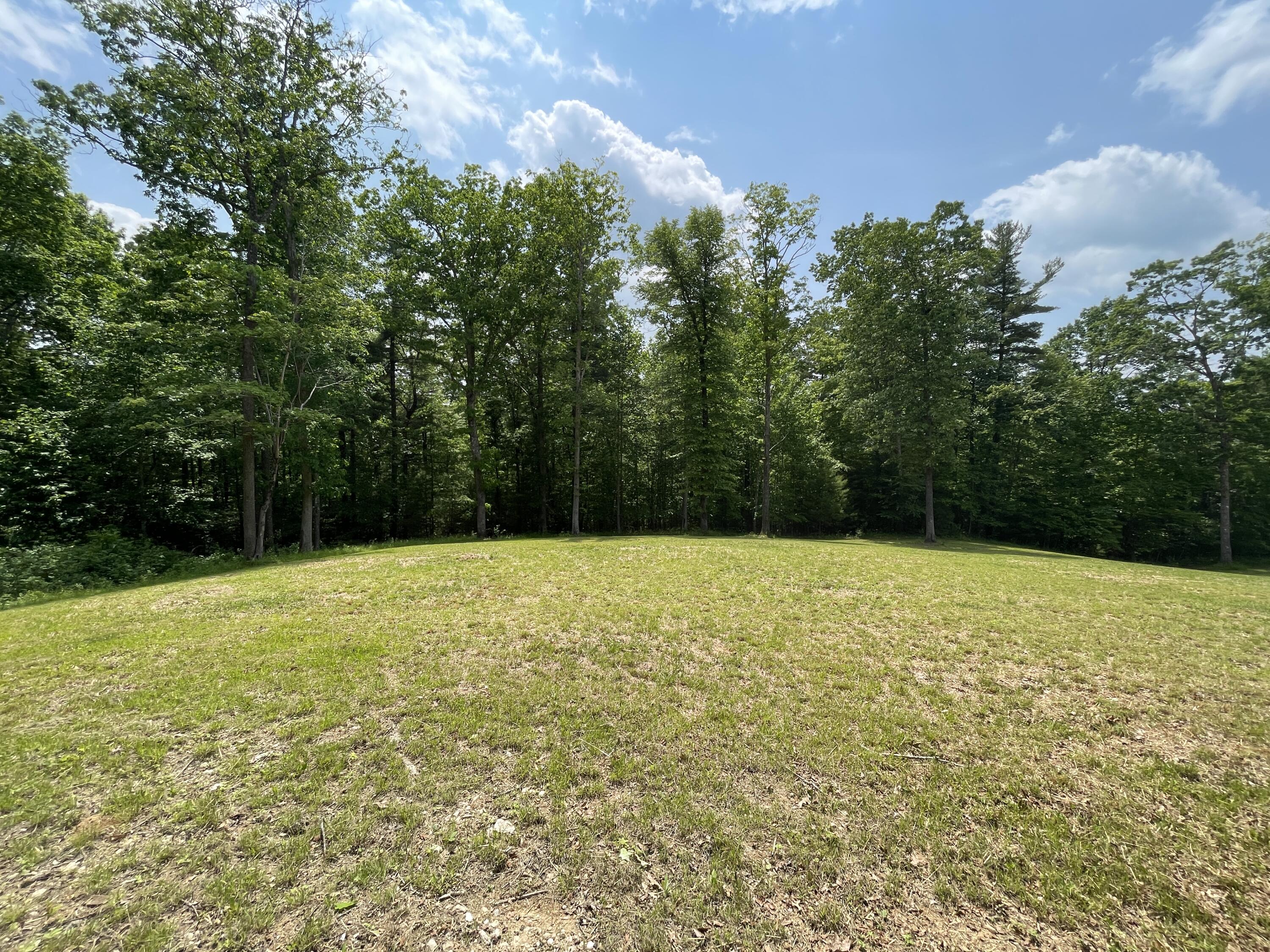 0 Gold Field Road Northeast Floyd, VA 24091 - Photo 11 of 20 a view of outdoor space and yard