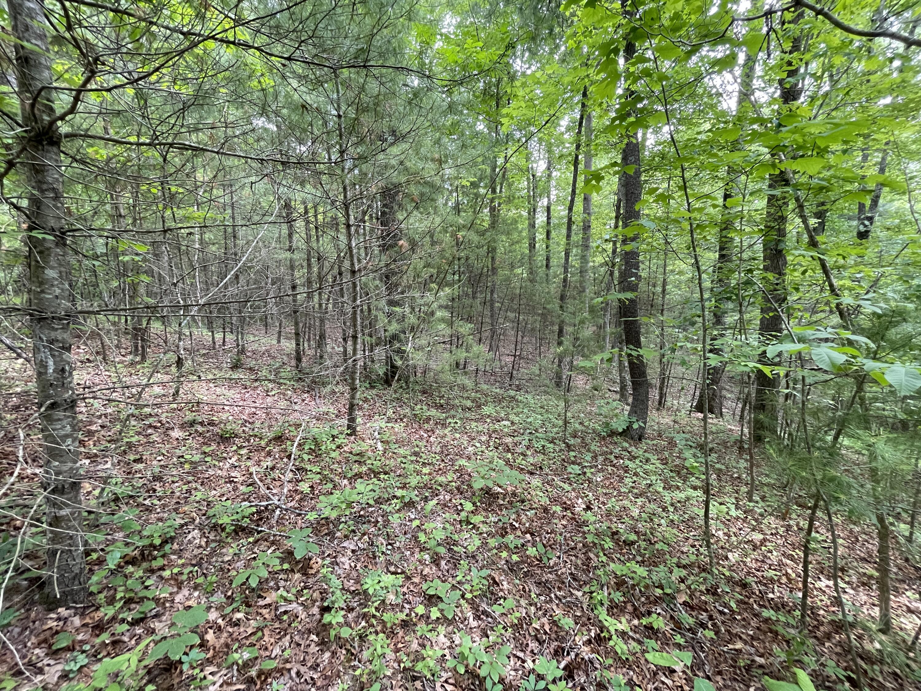 0 Gold Field Road Northeast Floyd, VA 24091 - Photo 20 of 20