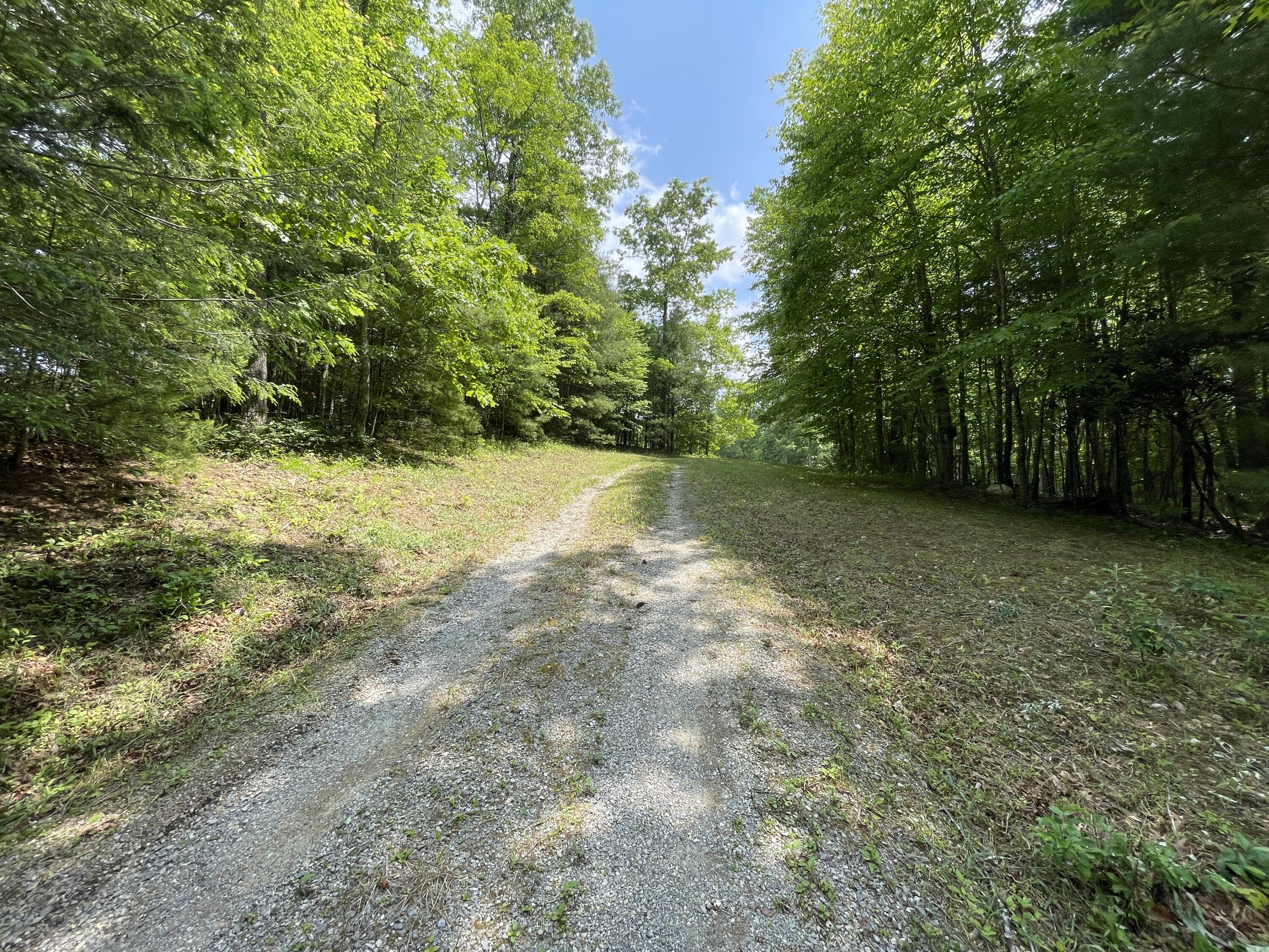 0 Gold Field Road Northeast Floyd, VA 24091 - Photo 2 of 20 a view of a yard with a tree