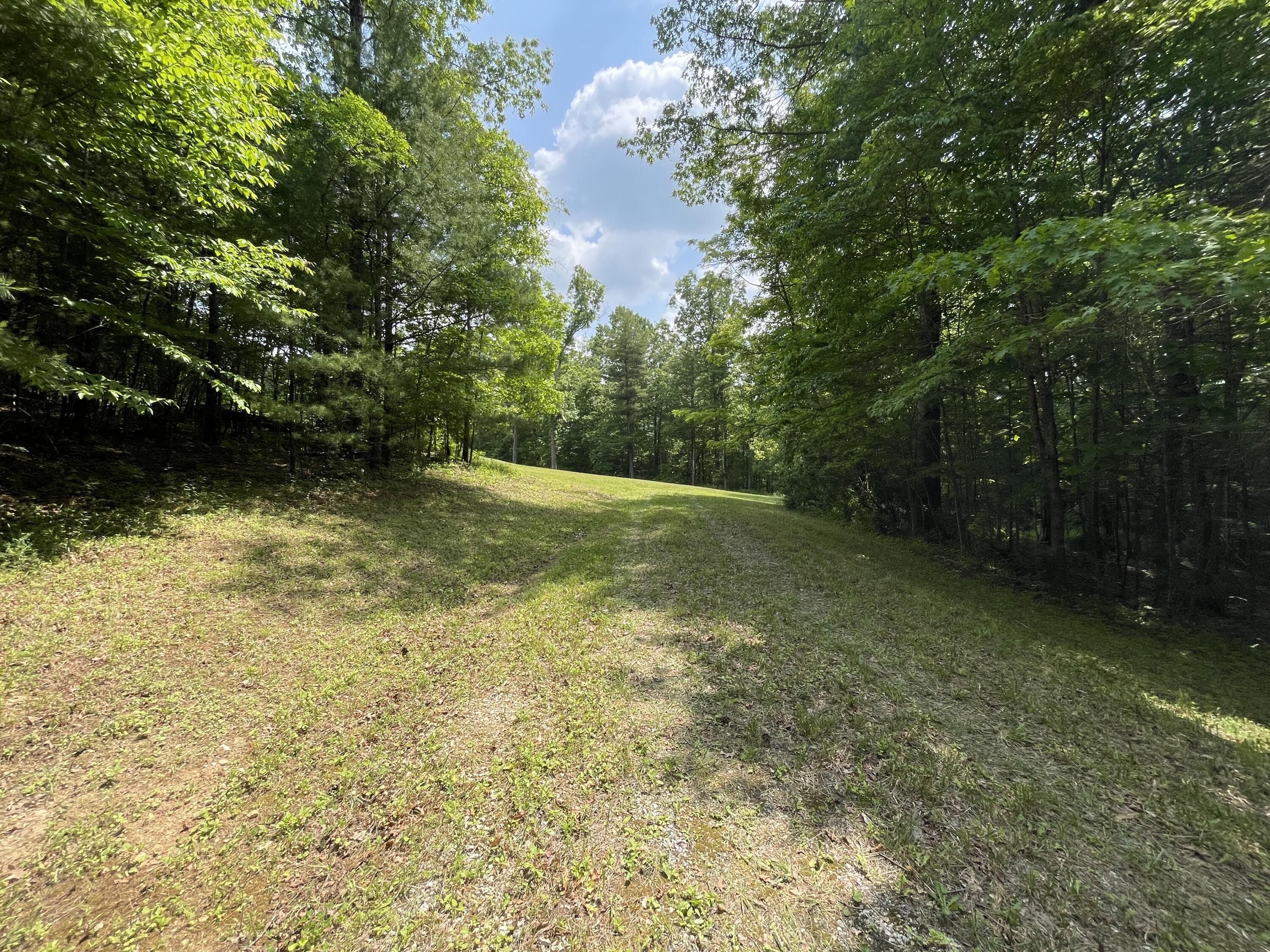 0 Gold Field Road Northeast Floyd, VA 24091 - Photo 3 of 20