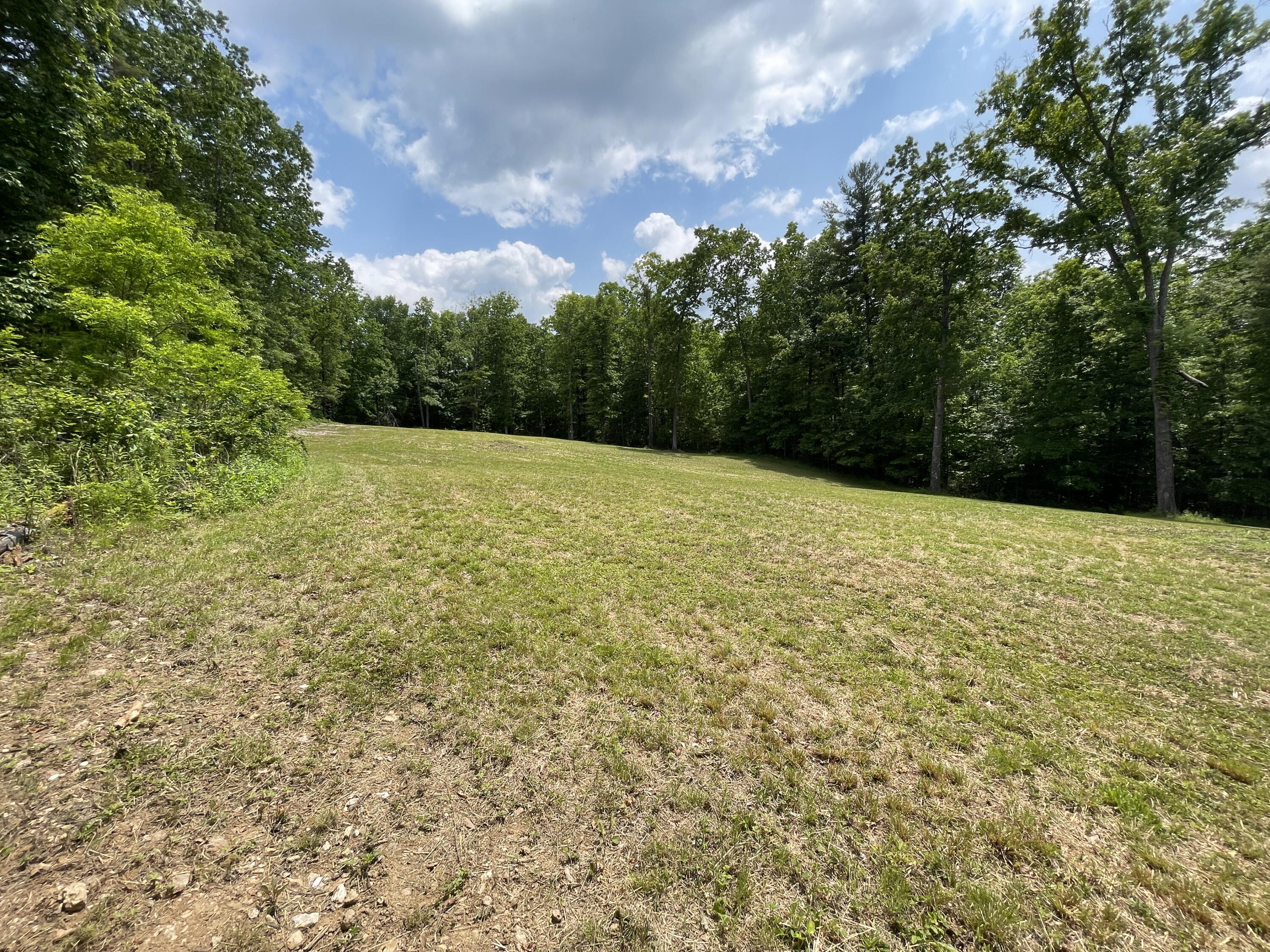0 Gold Field Road Northeast Floyd, VA 24091 - Photo 6 of 20 a view of outdoor space and yard