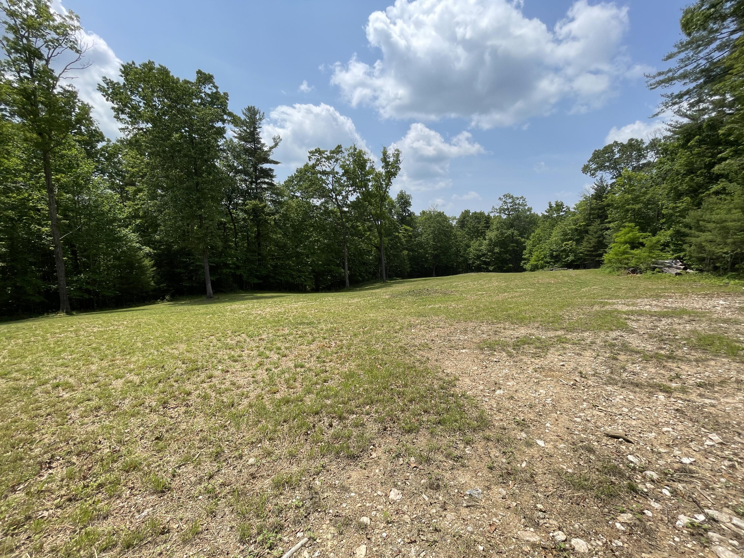 0 Gold Field Road Northeast Floyd, VA 24091 - Photo 10 of 20 a view of a field with an trees in the background