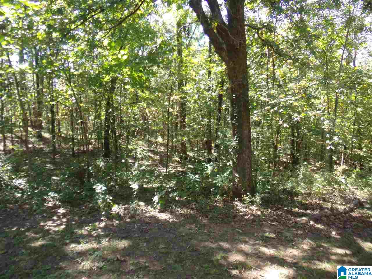 21353 Washington Drive Vance, AL 35490 - Photo 39 of 48