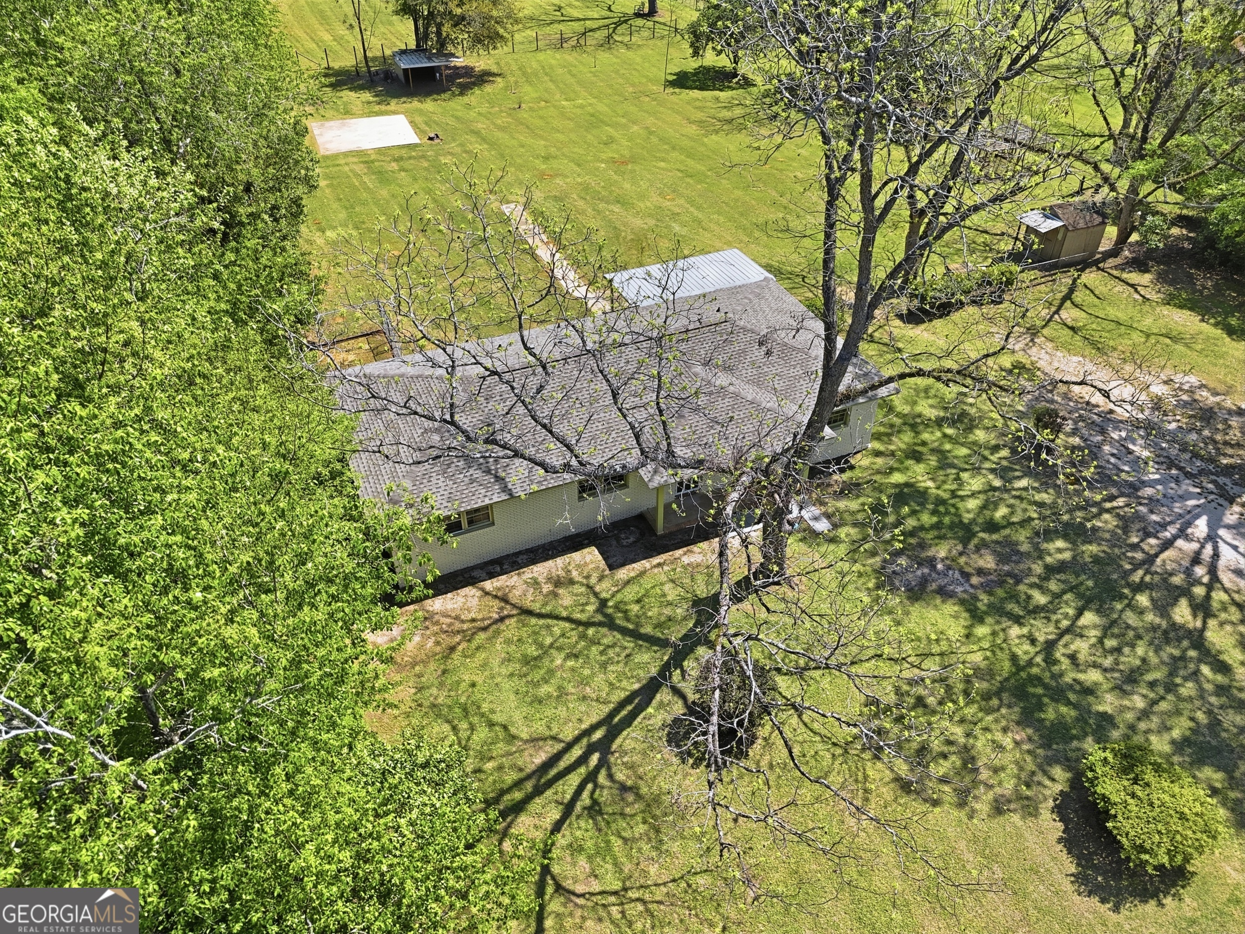 3710 Coakley Avenue Albany, GA 31721 - Photo 6 of 47 a view of a under an tree