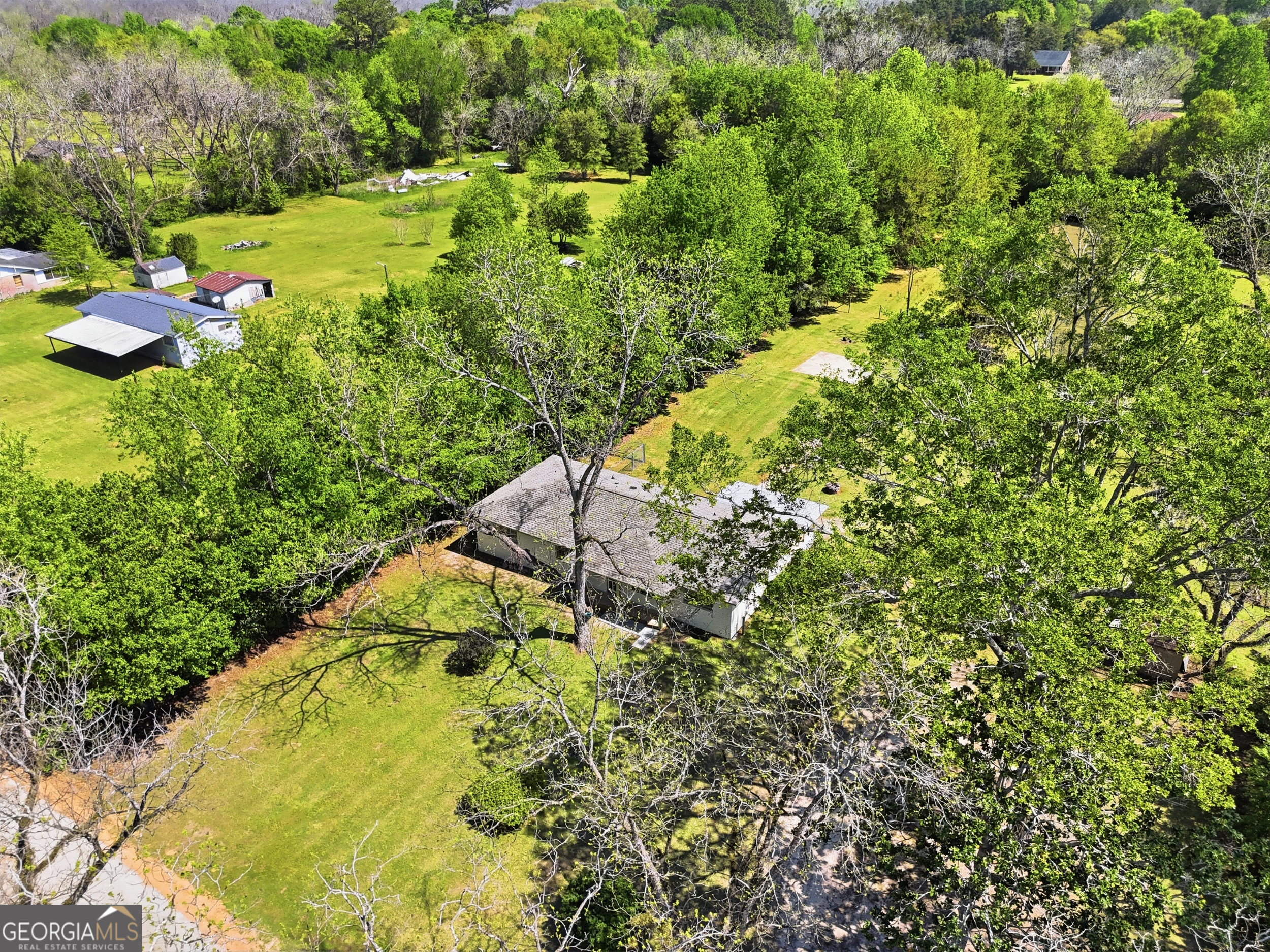 3710 Coakley Avenue Albany, GA 31721 - Photo 9 of 47 a view of a yard with plants and large trees