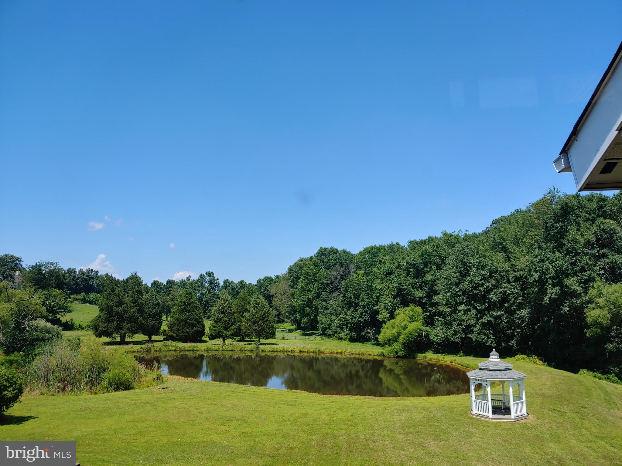 6635 Kelly Road Warrenton, VA 20187 - Photo 13 of 60 Stocked pond on property!