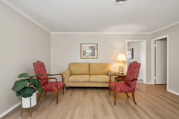 a living room with furniture a wooden floor and a potted plant