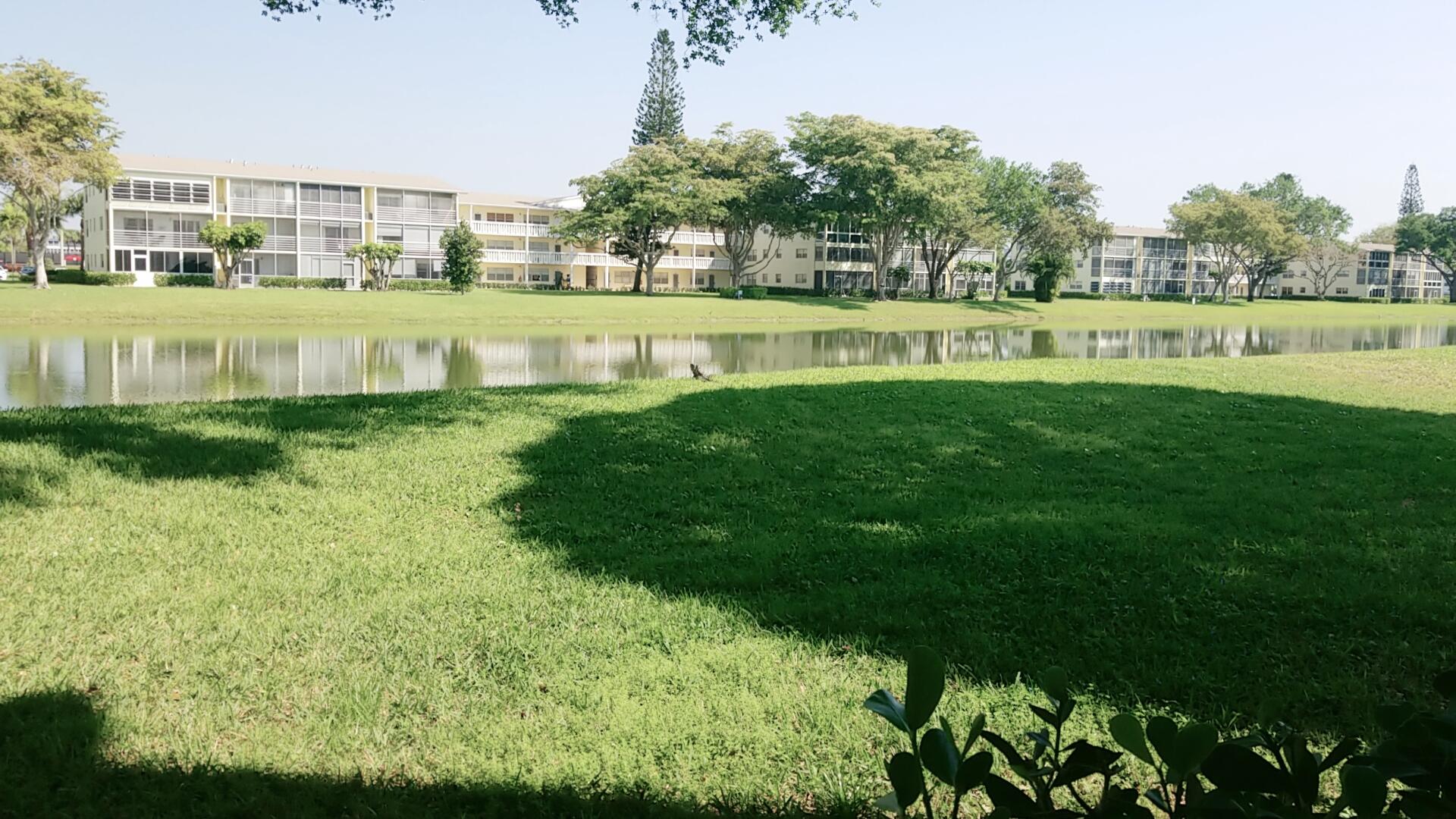 a view of a big yard with a large trees