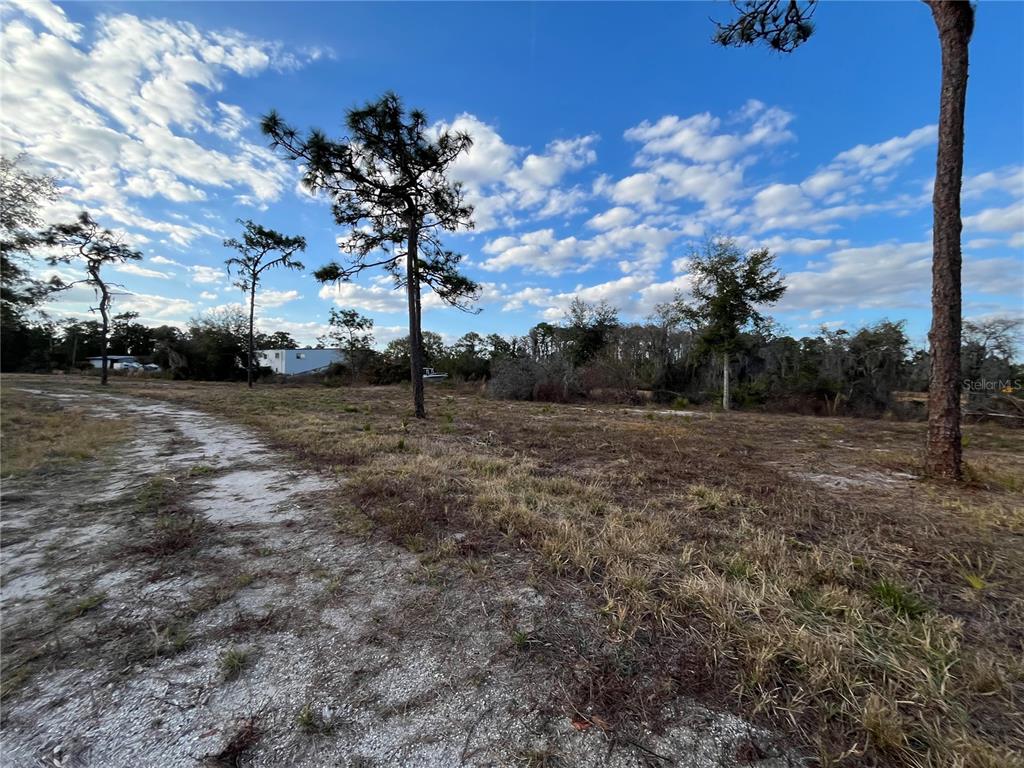 2670 McMichael Road St. Cloud, FL 34771 - Photo 10 of 10