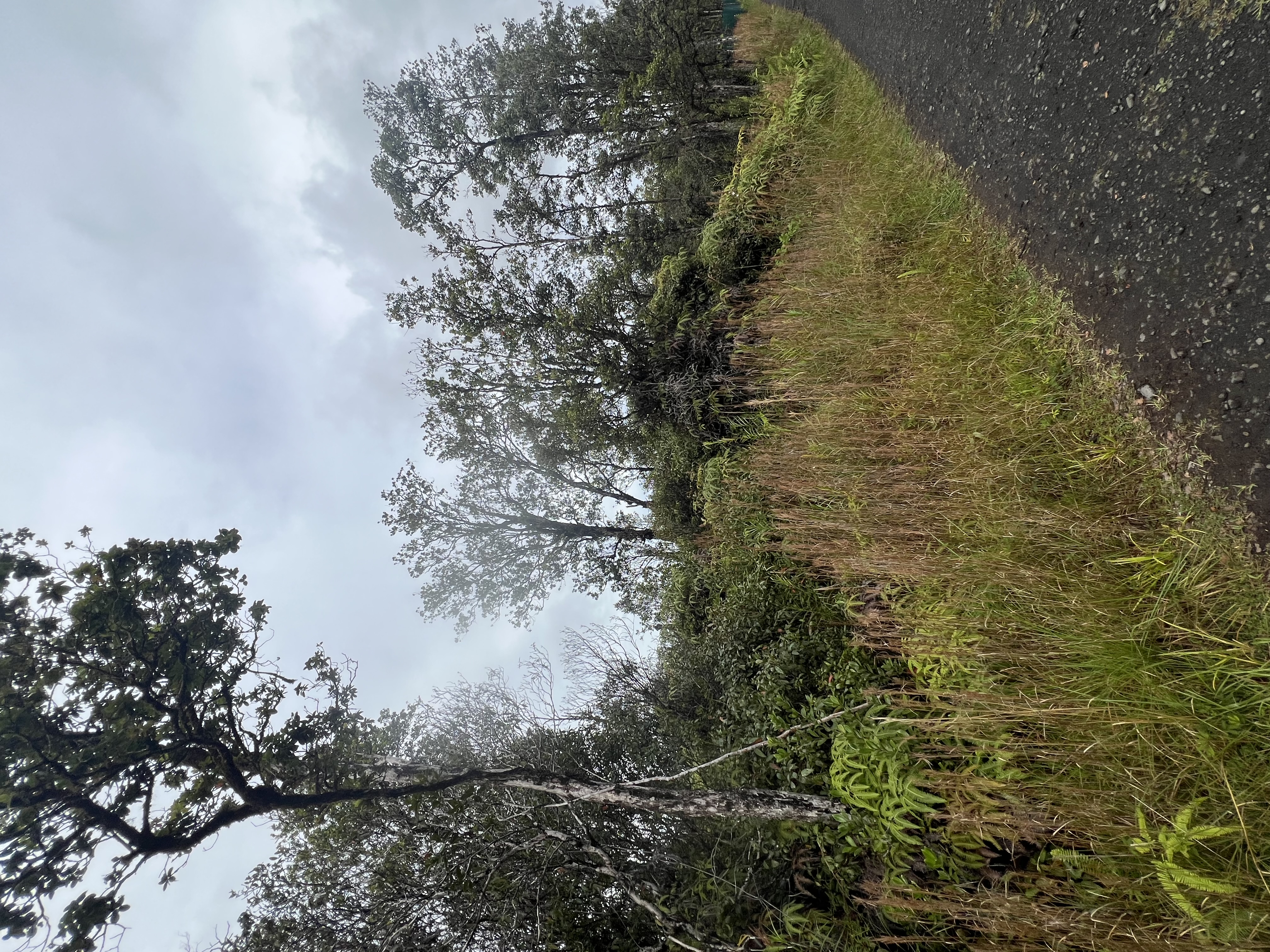 11-1750 8th Street Volcano, HI 96785 - Photo 3 of 4