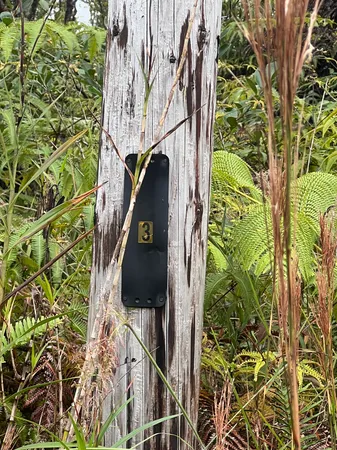 $27,000 | 11-1750 8th Street, Volcano, HI 96785