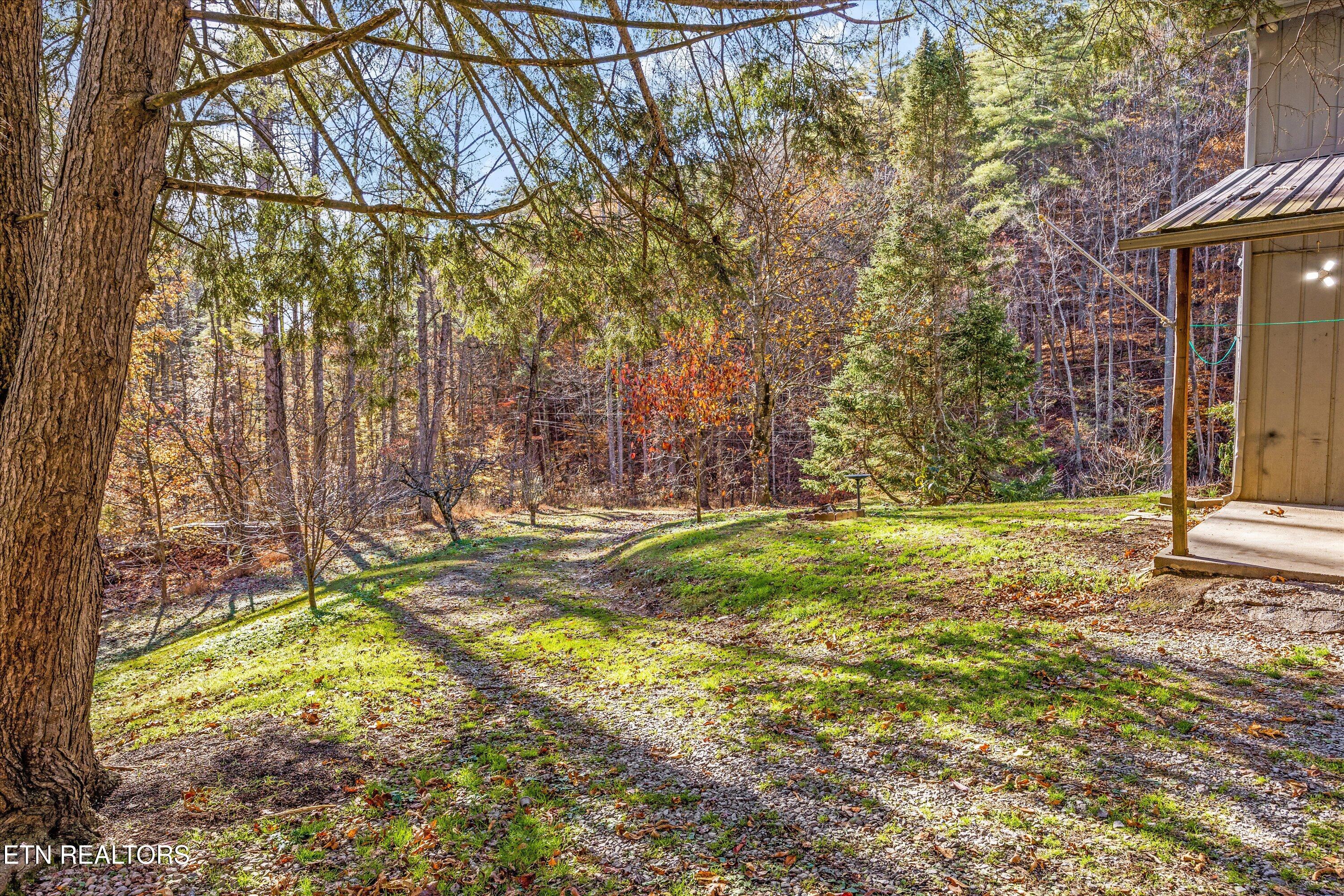 320 Caney Branch Road Tellico Plains, TN 37385 - Photo 18 of 35 19-320 Caney Br Rd 34