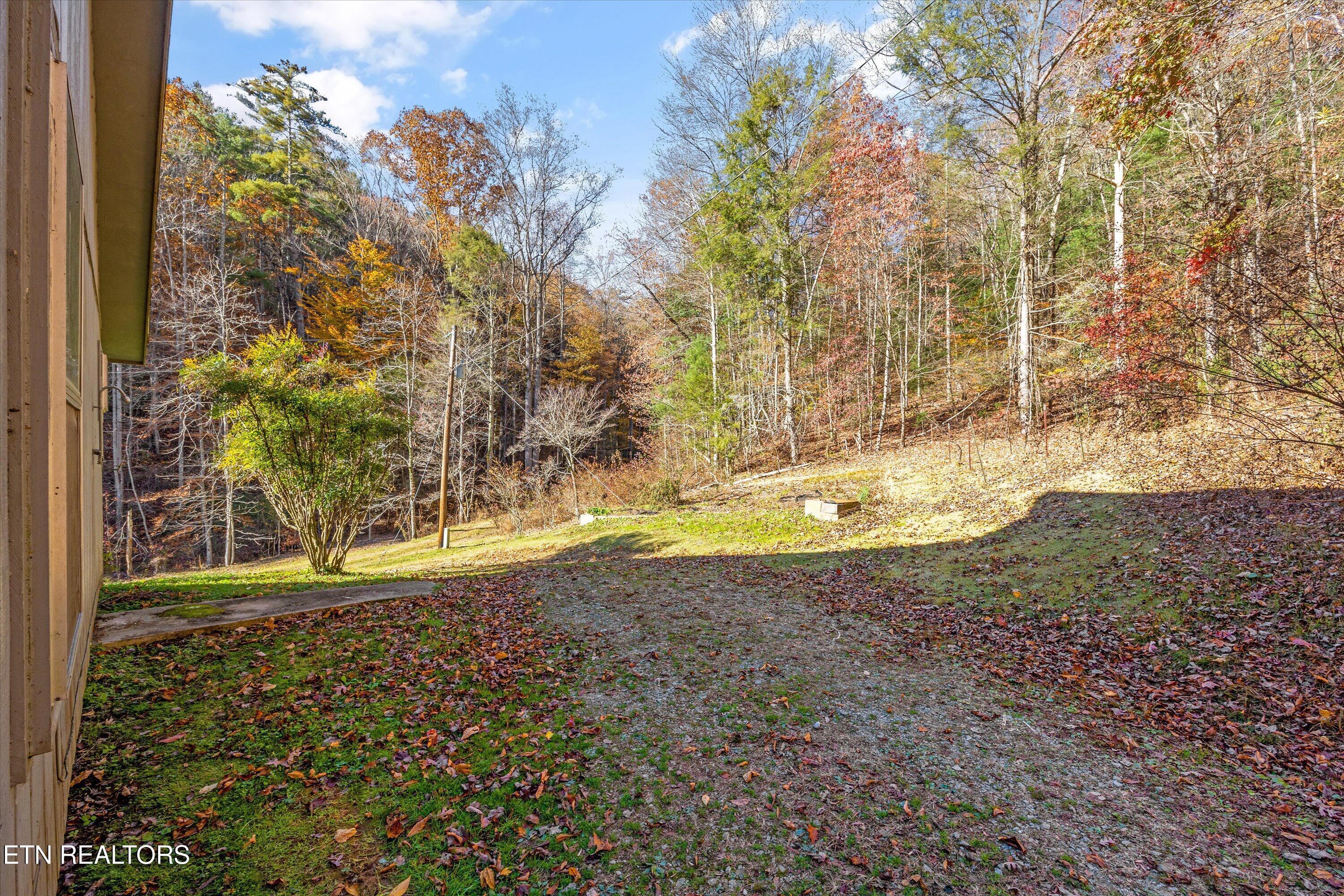 320 Caney Branch Road Tellico Plains, TN 37385 - Photo 23 of 35 24-320 Caney Br Rd 33