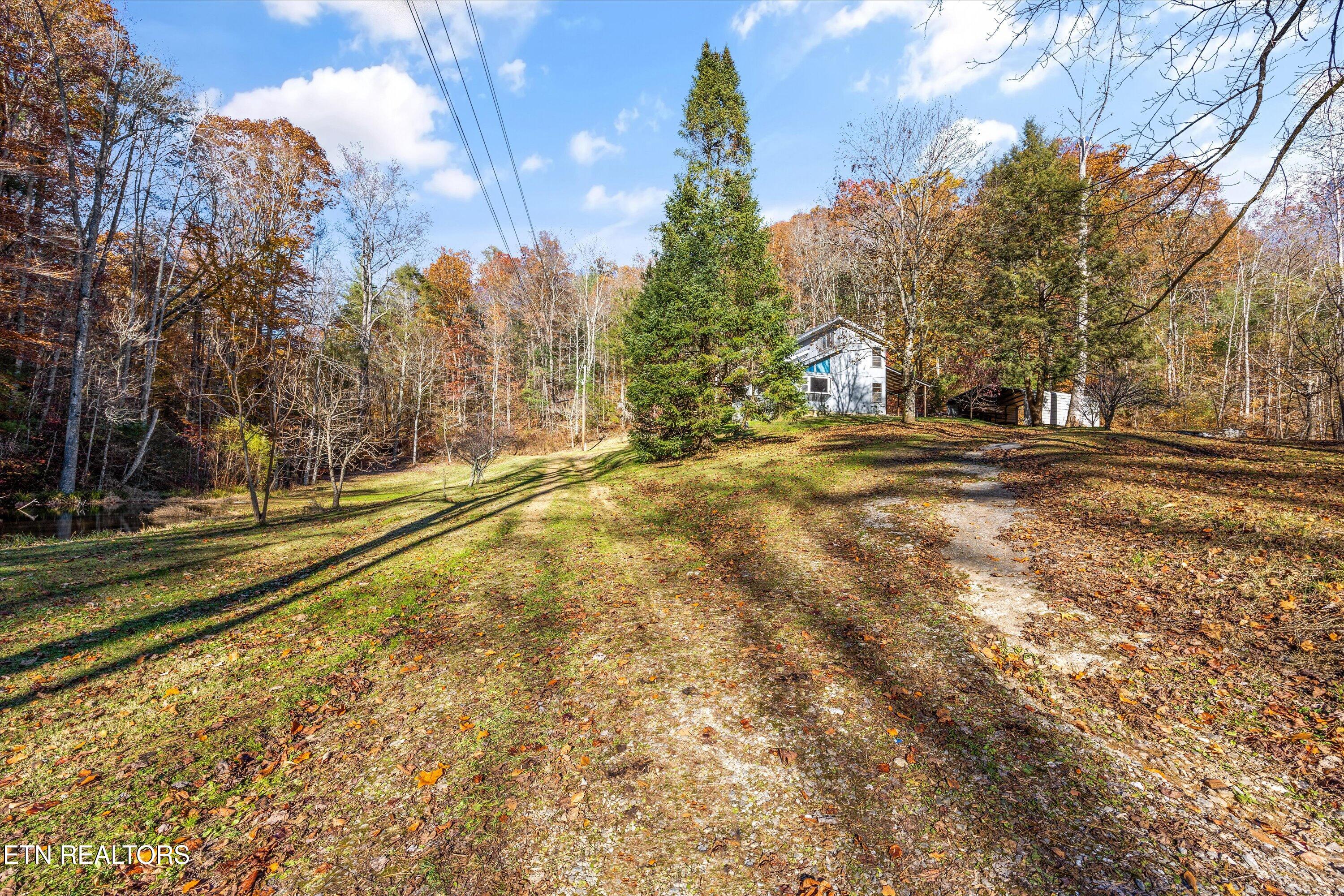 320 Caney Branch Road Tellico Plains, TN 37385 - Photo 25 of 35 26-320 Caney Br Rd 37