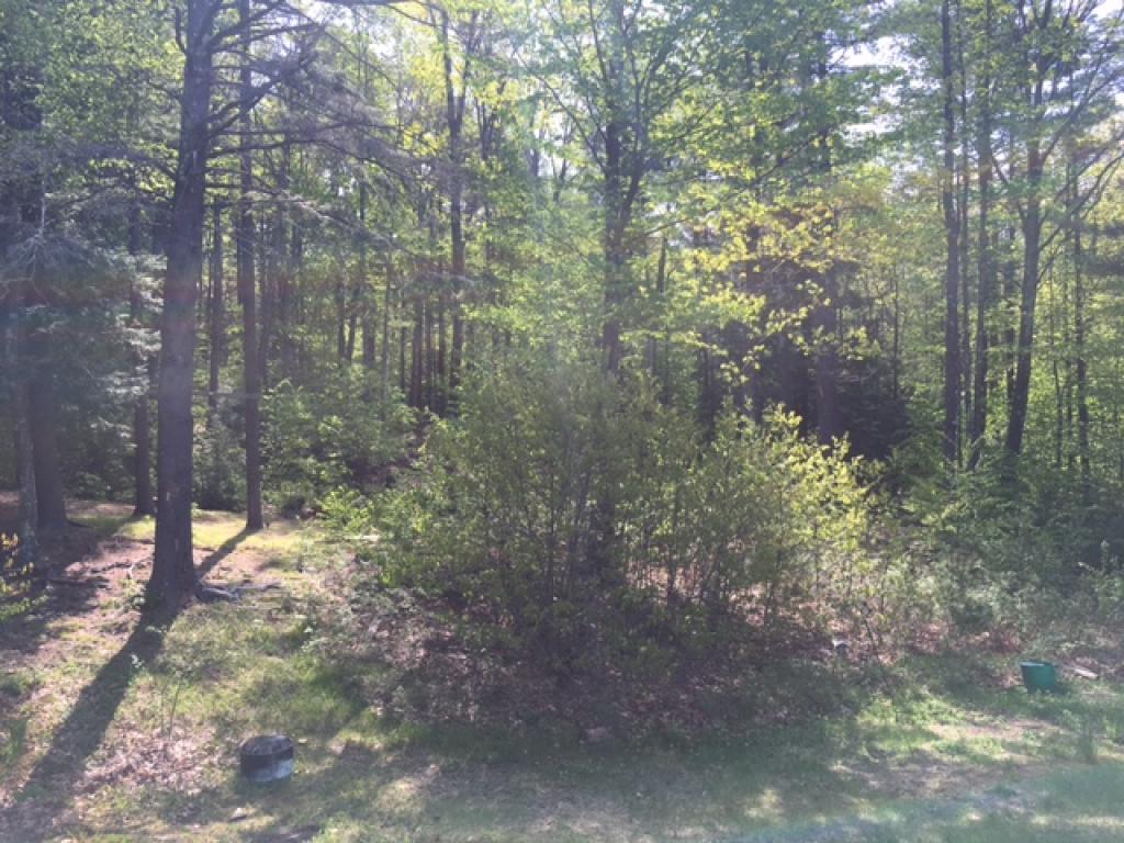 156 Thorndike Road Weare, NH 03281 - Photo 9 of 13