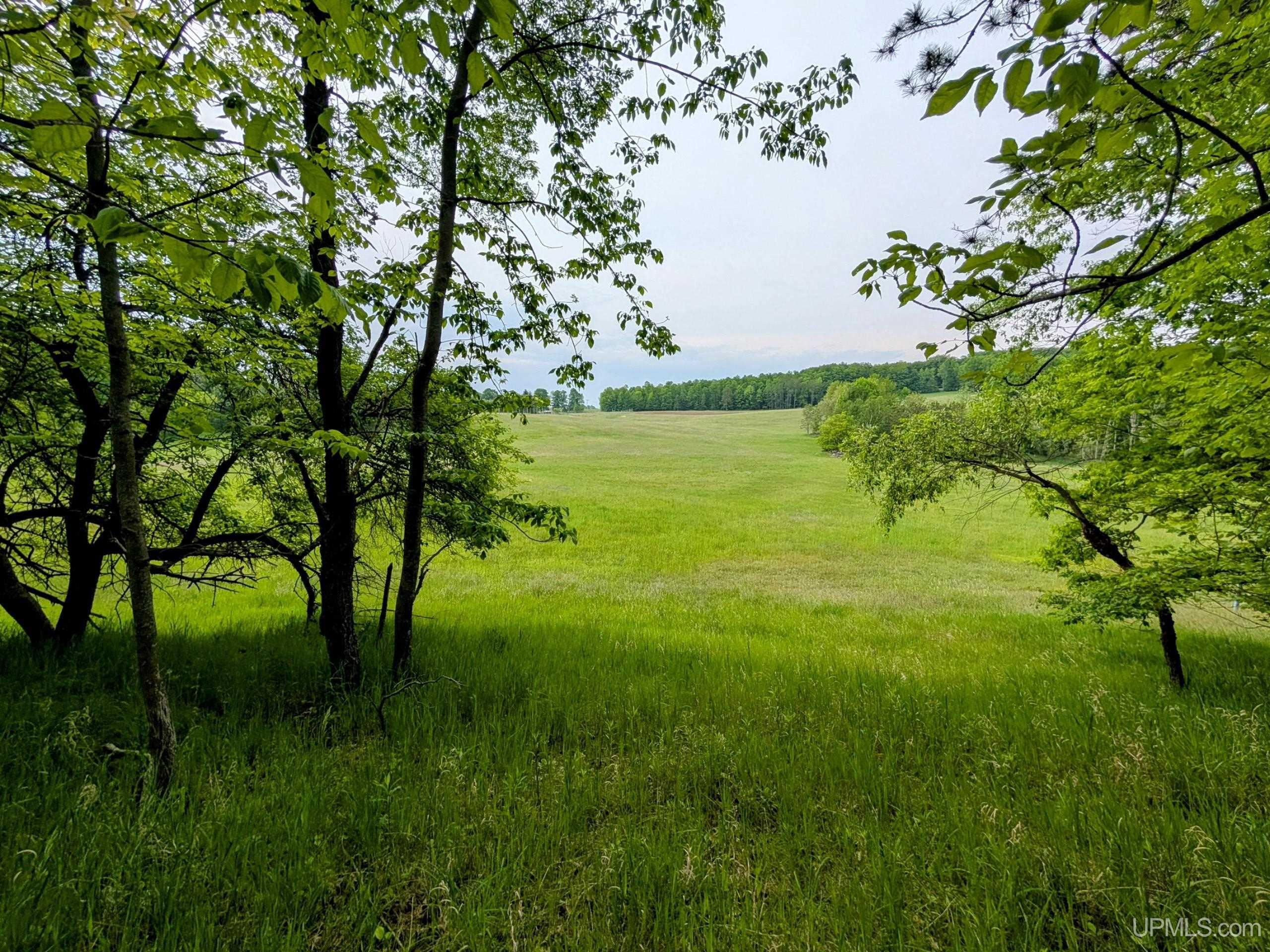 3173 Swede Settlement Road Vulcan, MI 49892 - Photo 3 of 12 Gallery Image 3