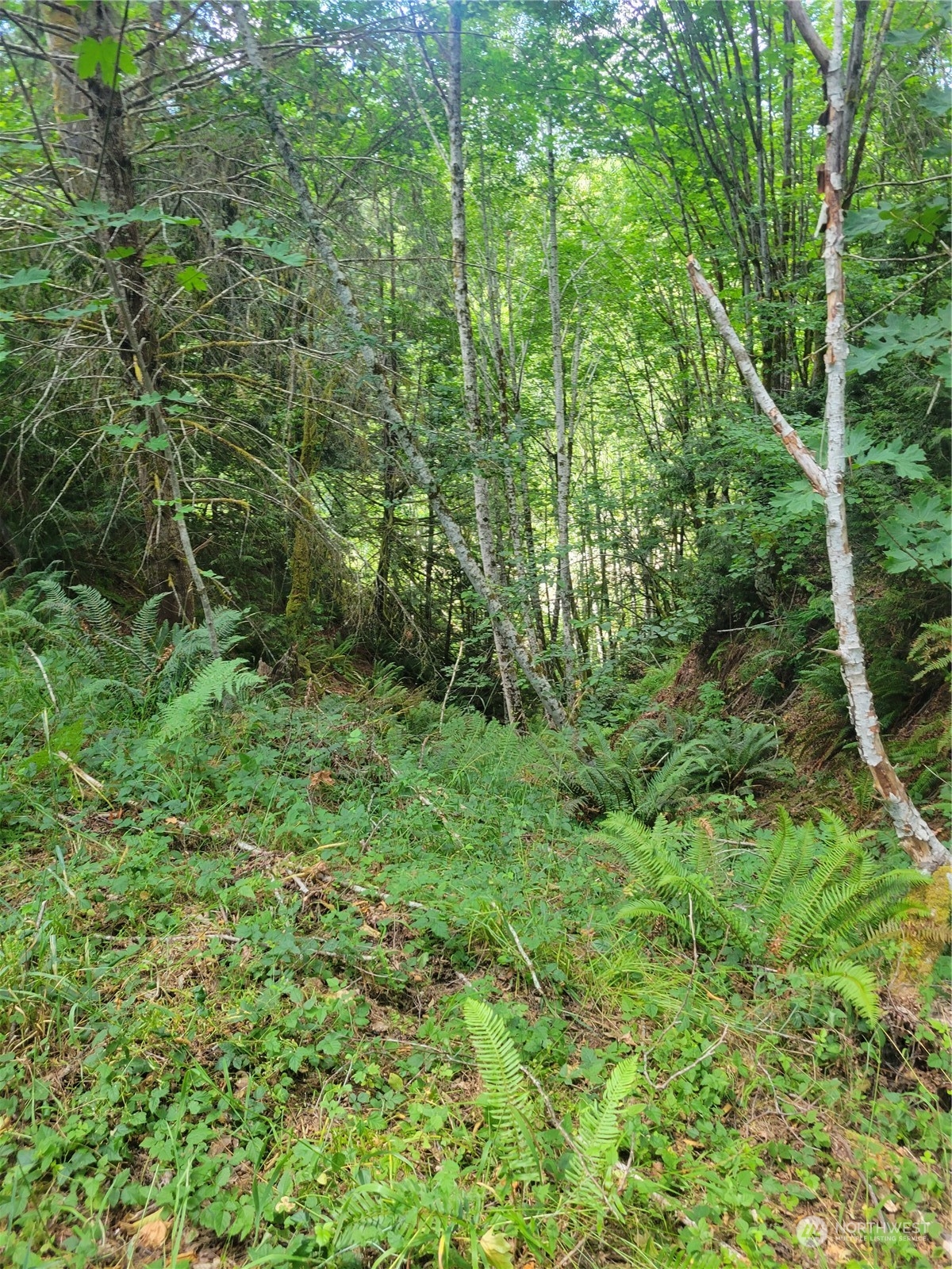 930 East Wilson Way Grapeview, WA 98546 - Photo 14 of 26