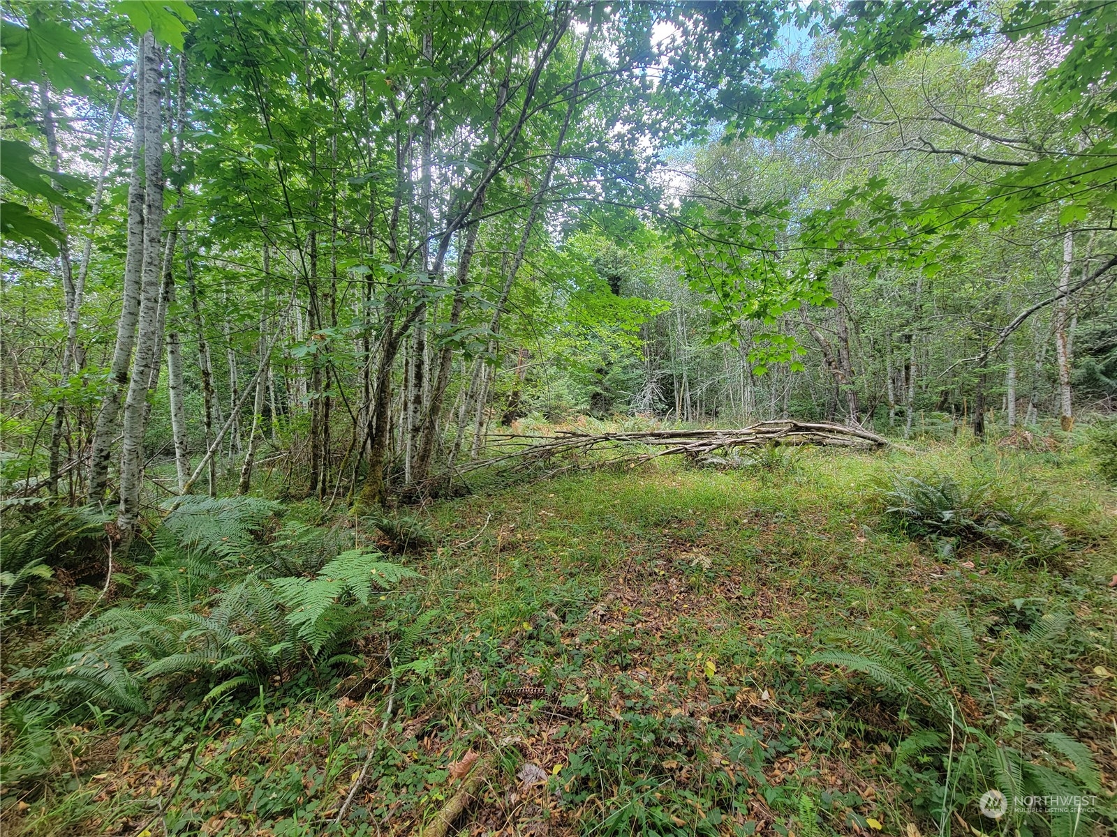 930 East Wilson Way Grapeview, WA 98546 - Photo 16 of 26