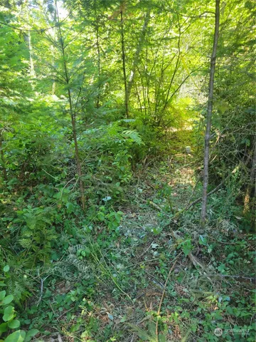 $149,900 | 930 East Wilson Way, Grapeview, WA 98546