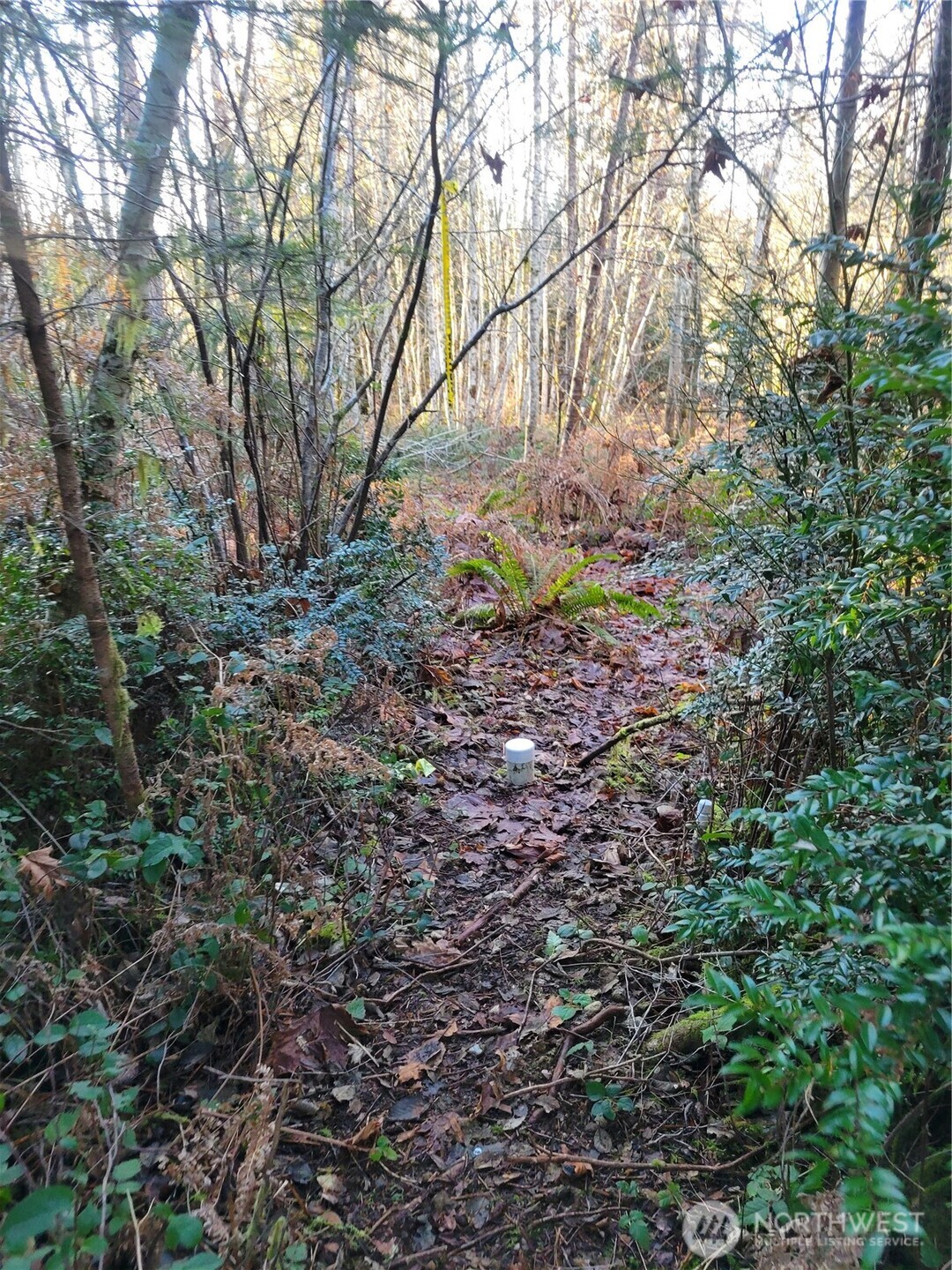 930 East Wilson Way Grapeview, WA 98546 - Photo 19 of 26