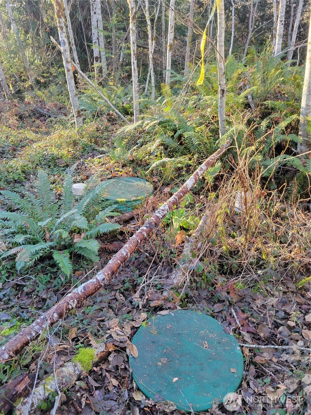 930 East Wilson Way Grapeview, WA 98546 - Photo 20 of 26