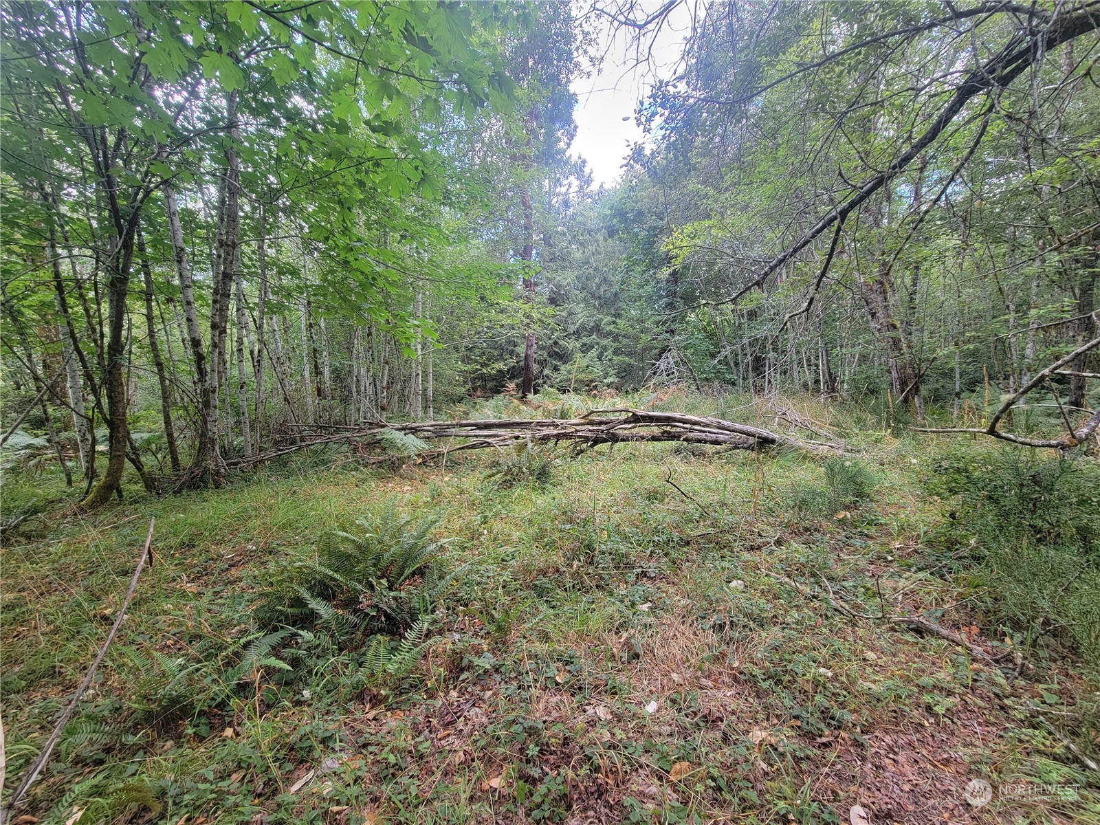 930 East Wilson Way Grapeview, WA 98546 - Photo 2 of 26