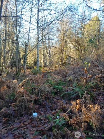 $149,900 | 930 East Wilson Way, Grapeview, WA 98546