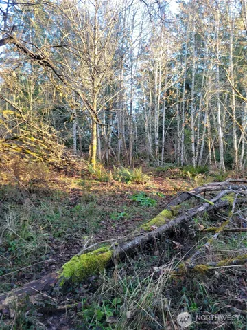 $149,900 | 930 East Wilson Way, Grapeview, WA 98546